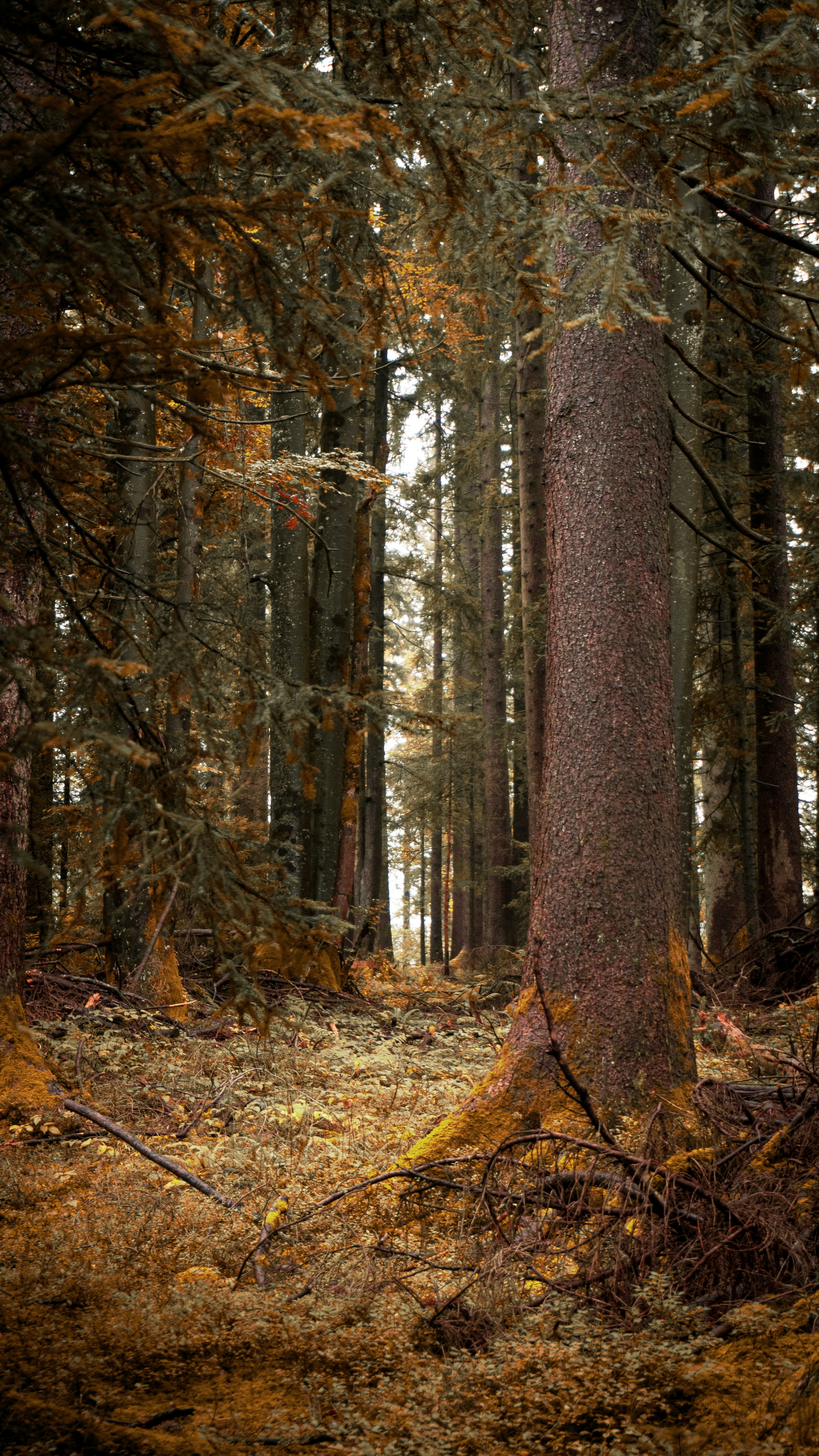 Photo by watchelijah