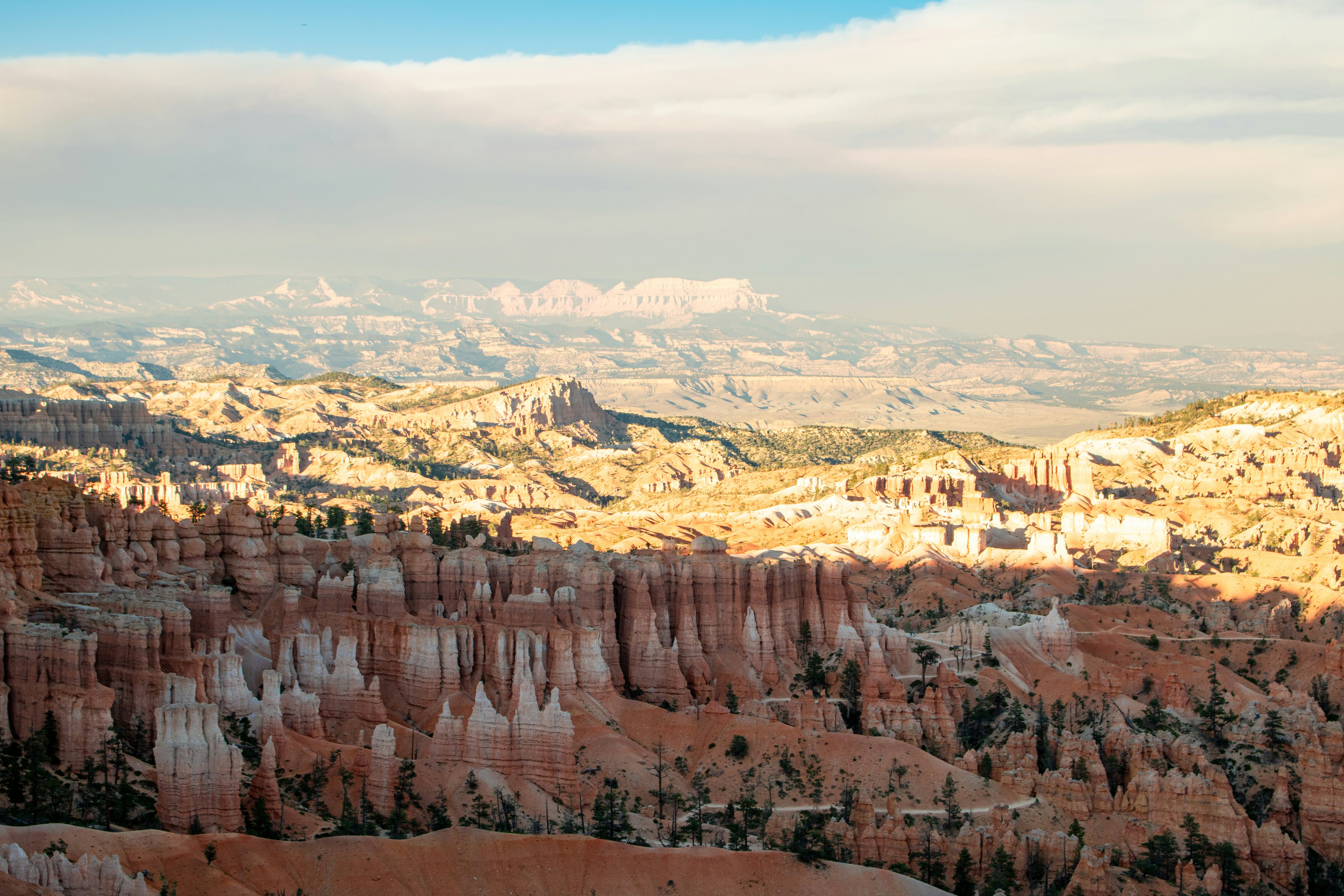 Photo by zoshuacolah