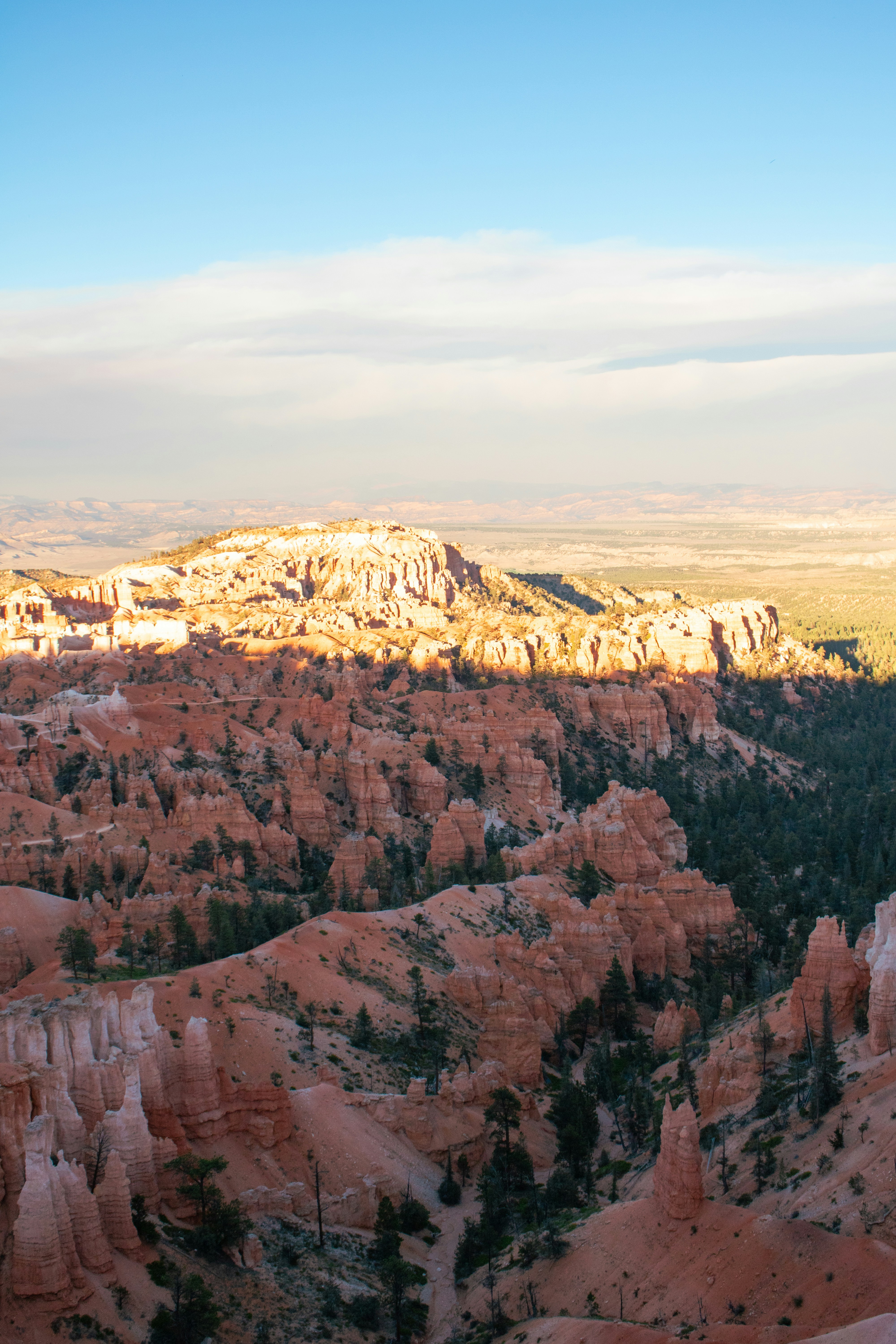 Photo by zoshuacolah