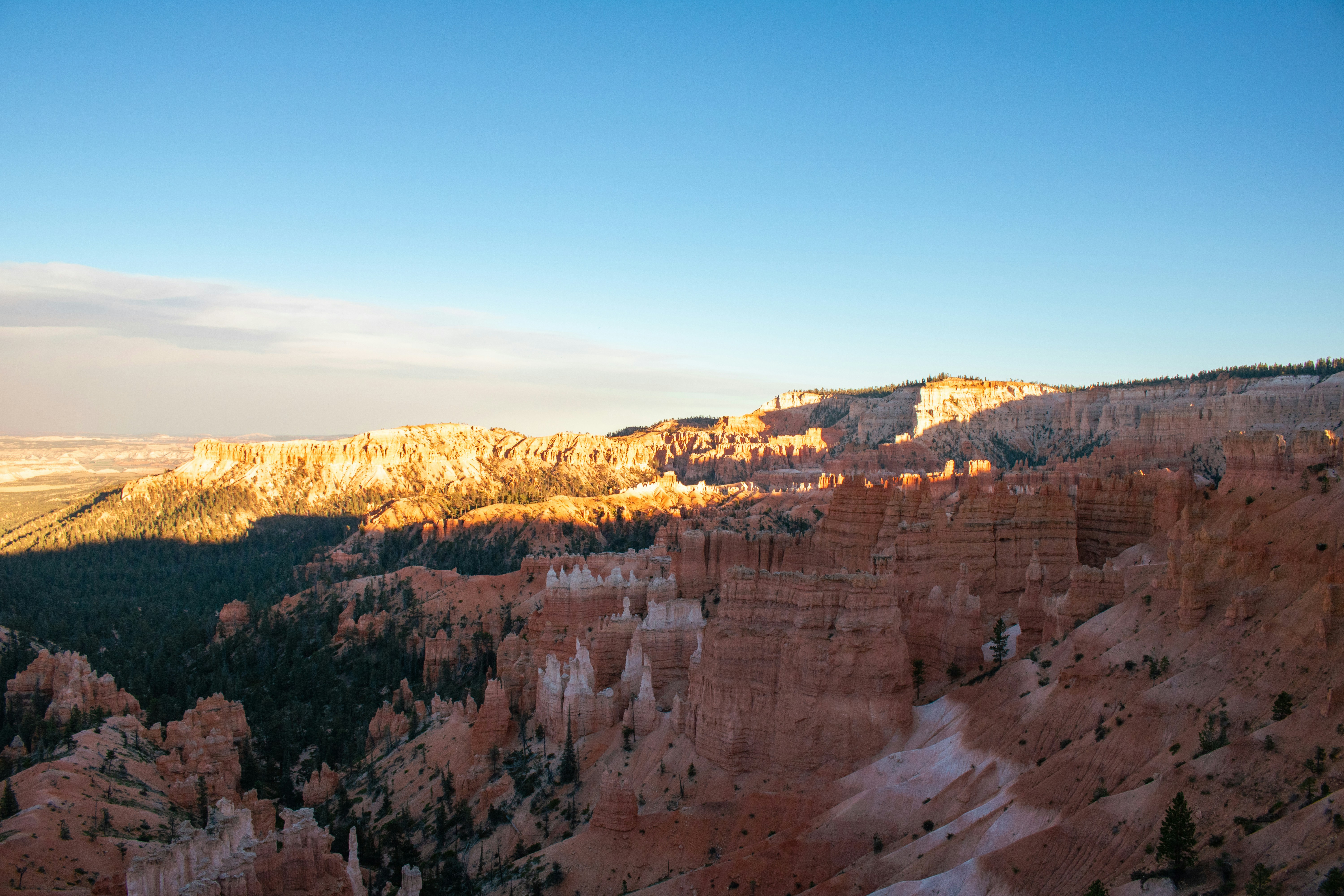 Photo by zoshuacolah