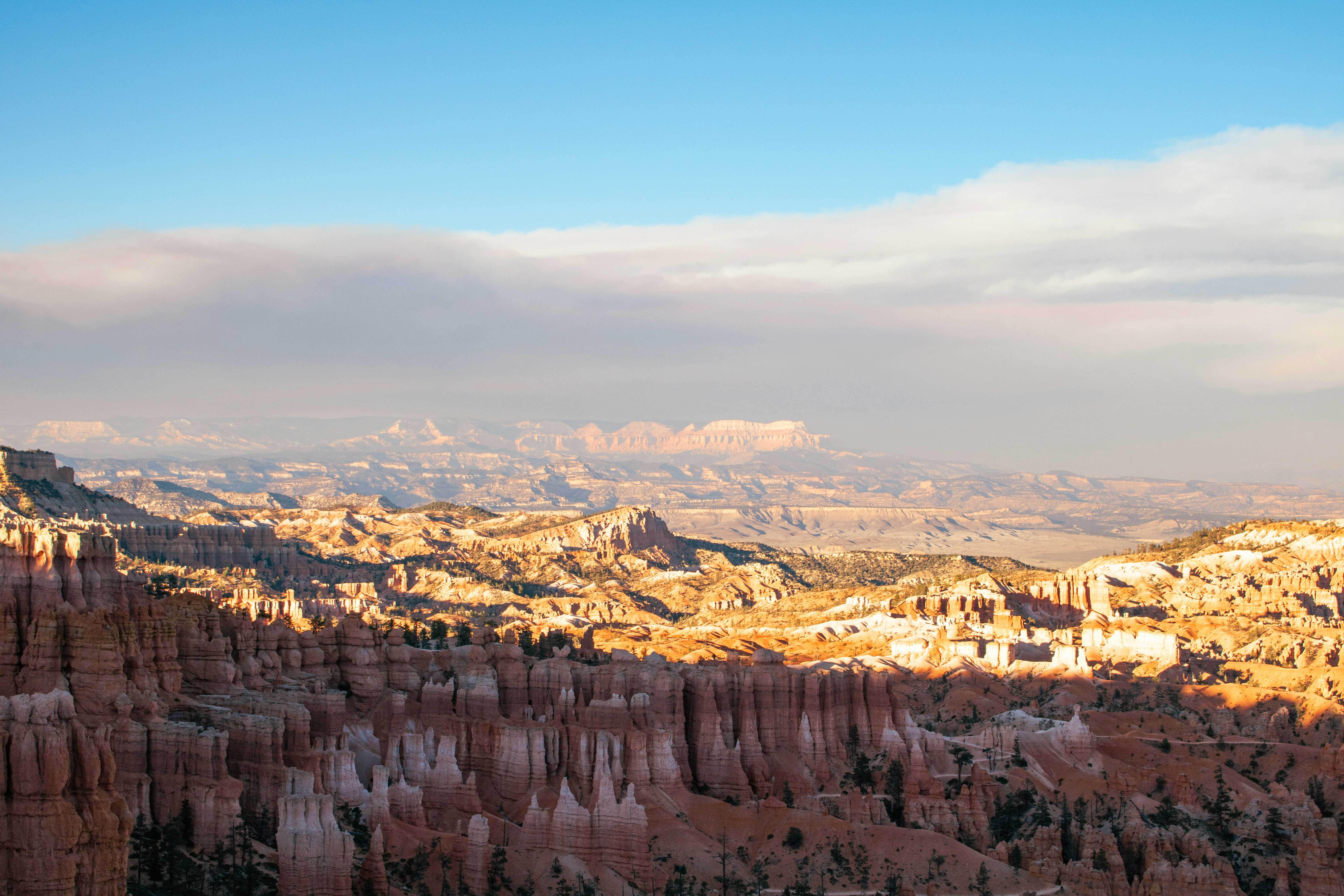 Photo by zoshuacolah