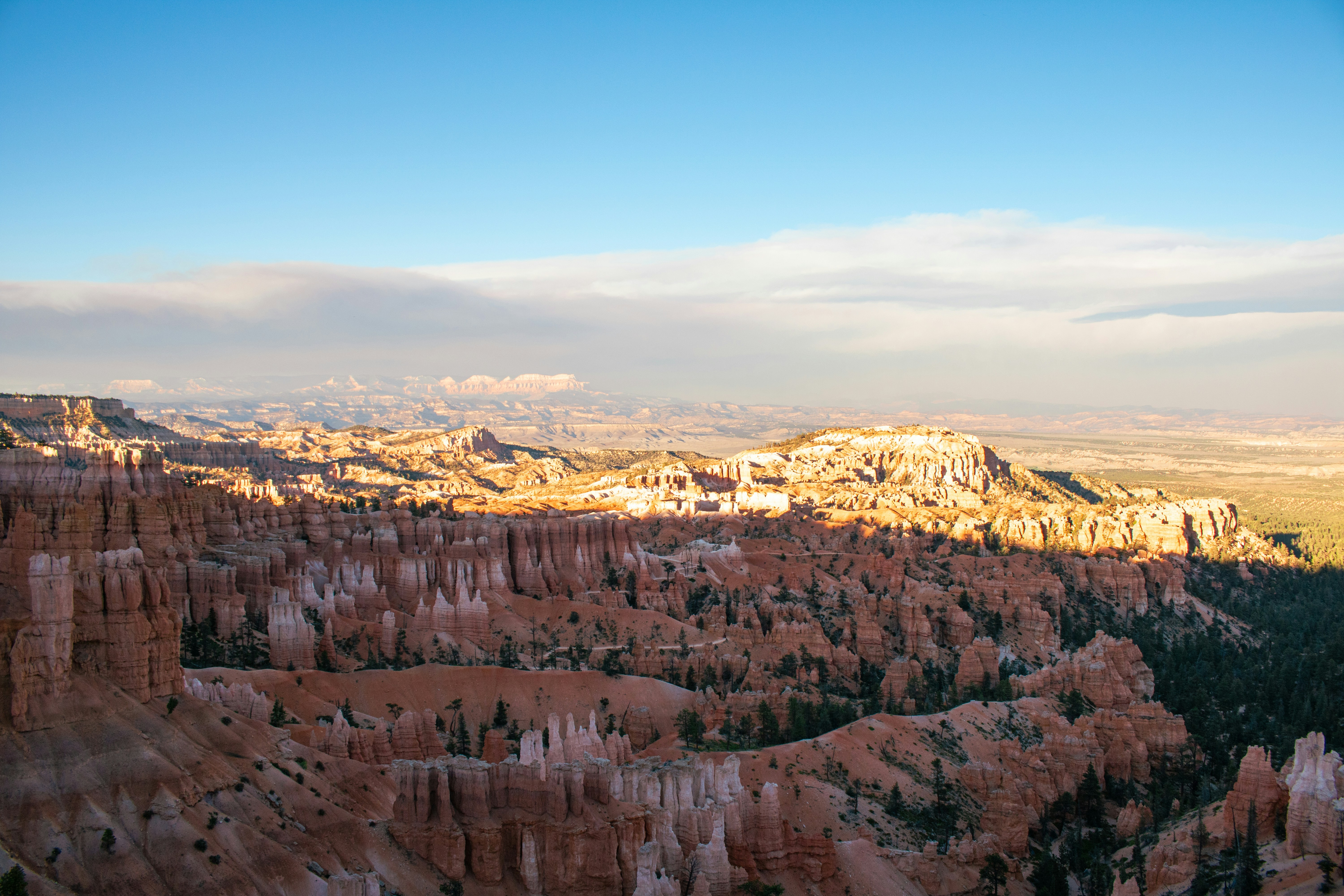 Photo by zoshuacolah