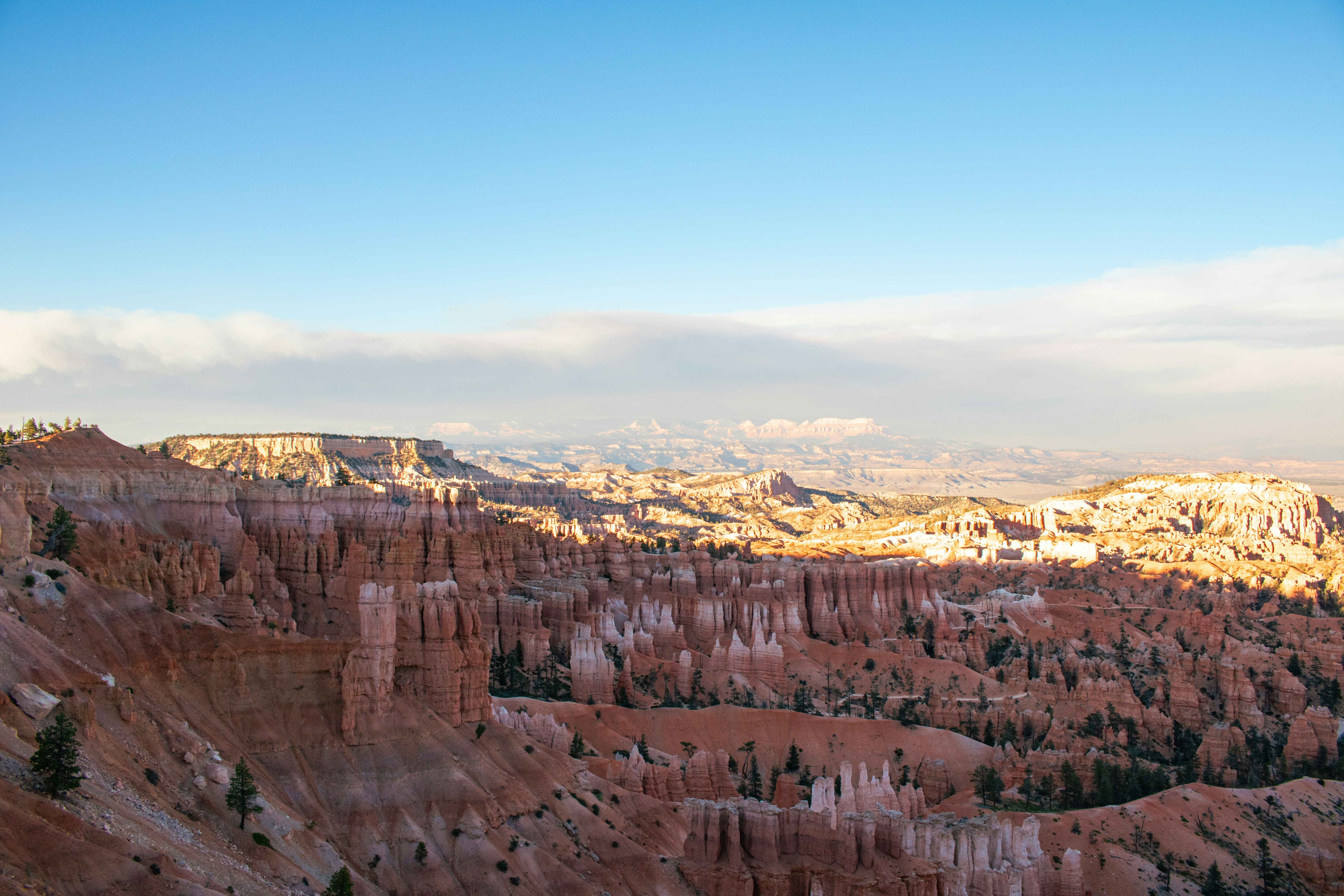 Photo by zoshuacolah