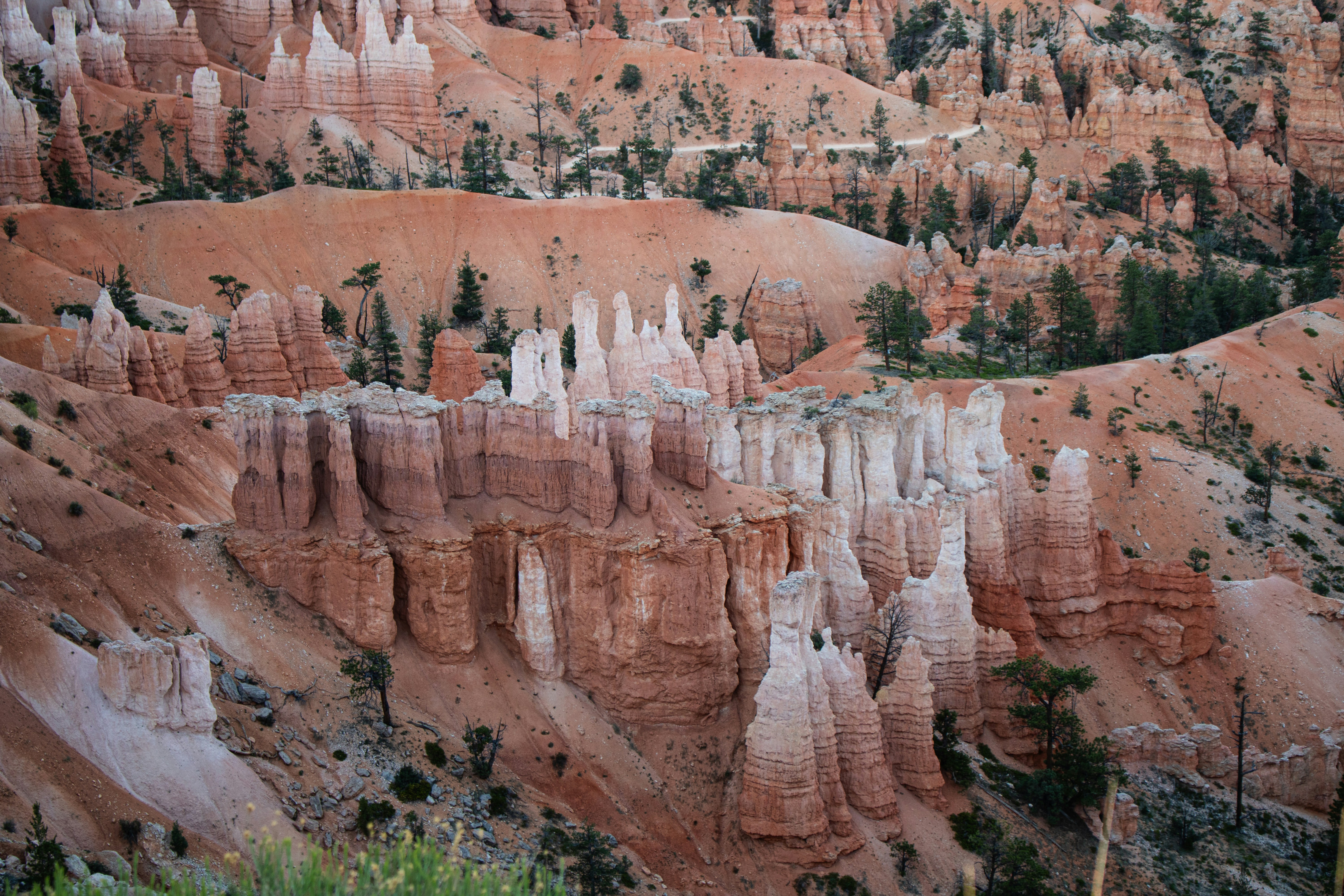 Photo by zoshuacolah