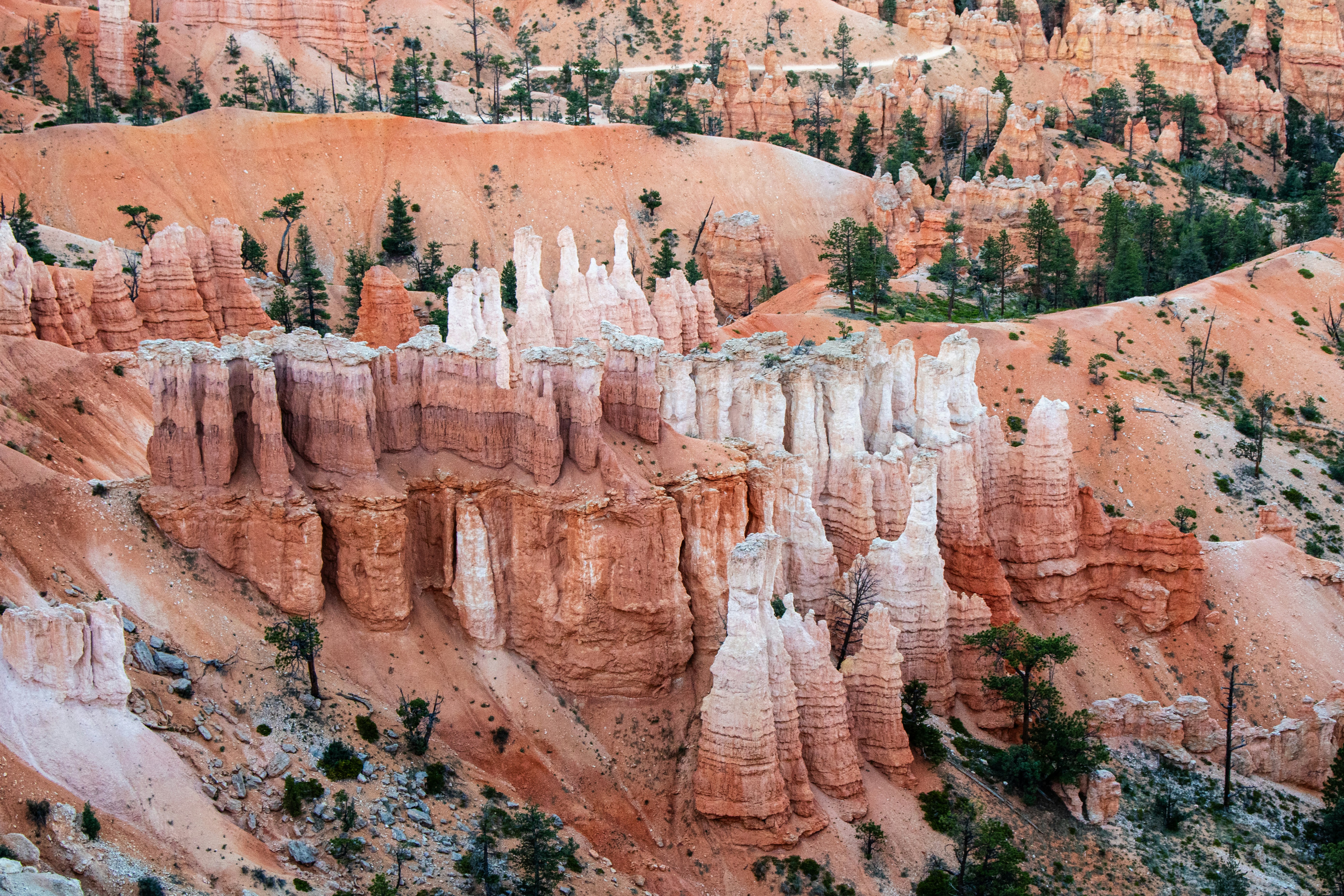 Photo by zoshuacolah