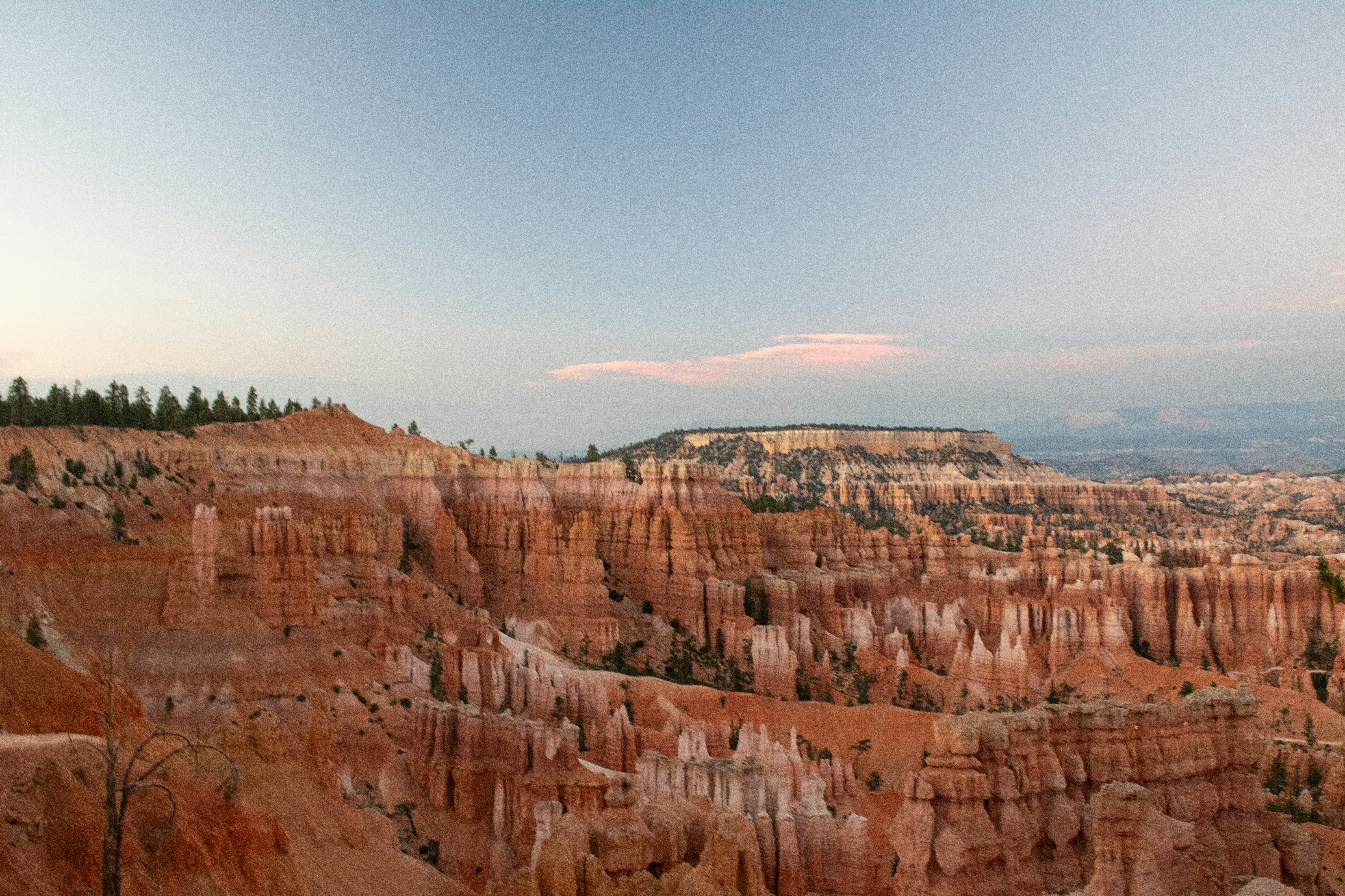 Photo by zoshuacolah