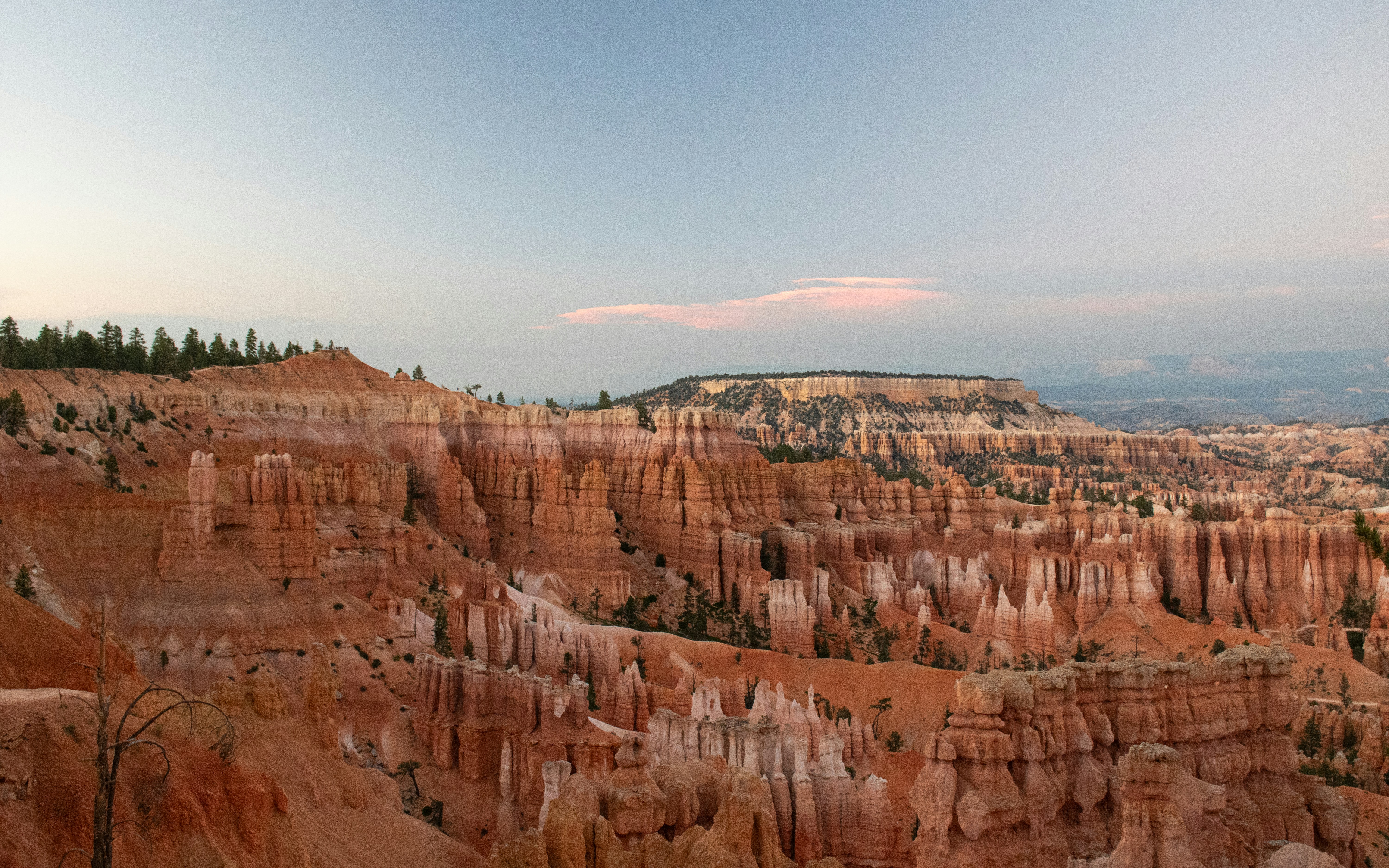 Photo by zoshuacolah