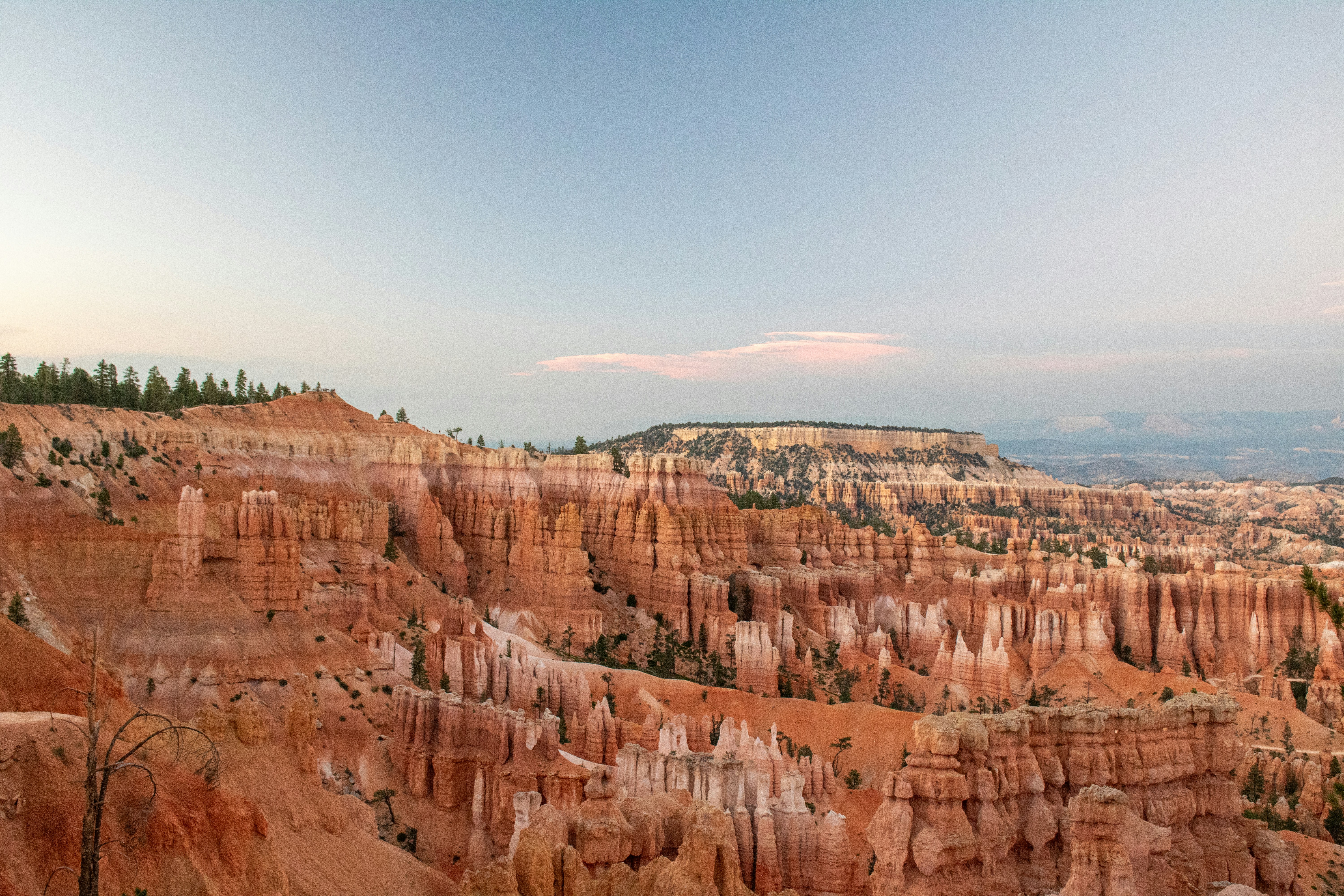 Photo by zoshuacolah