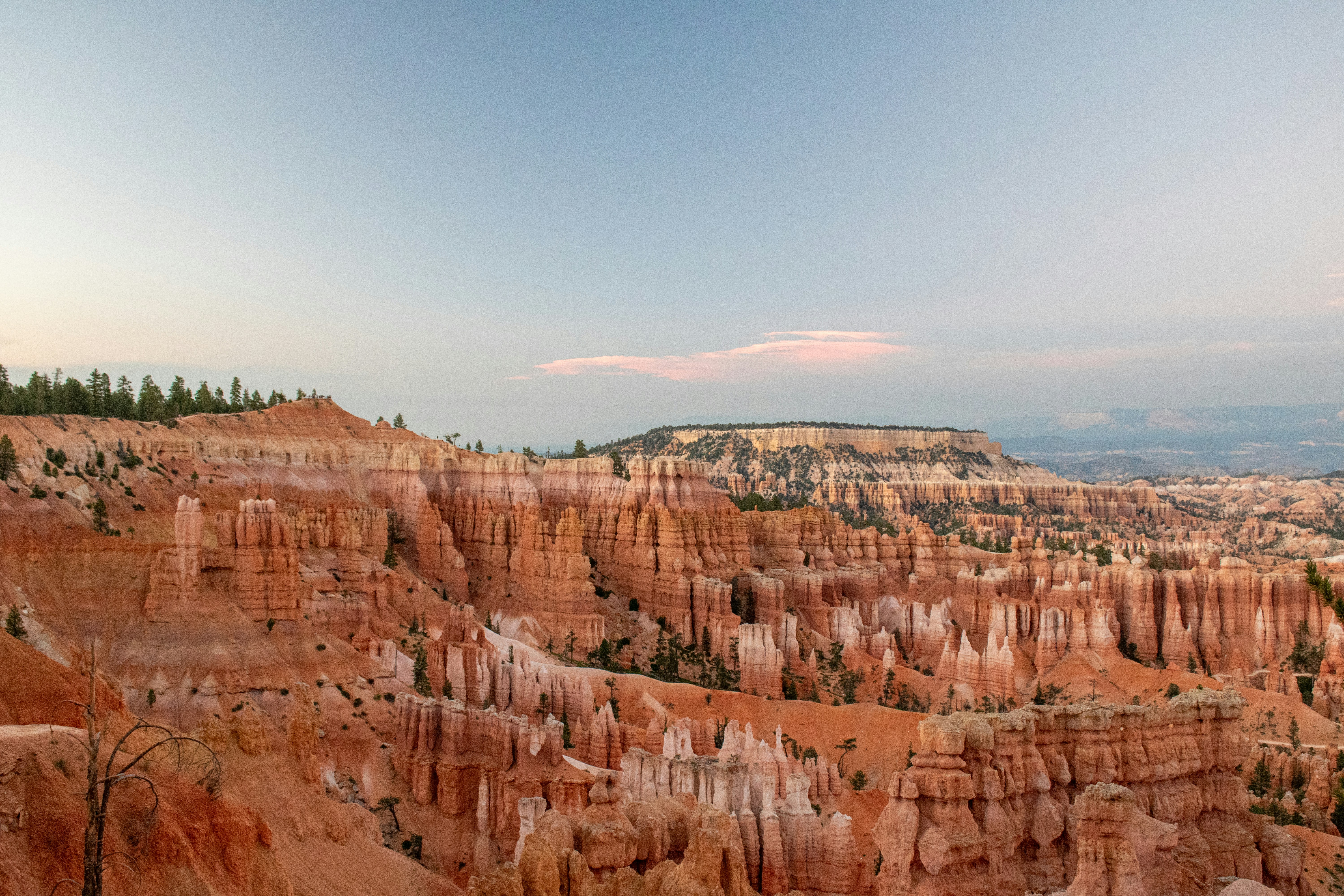 Photo by zoshuacolah