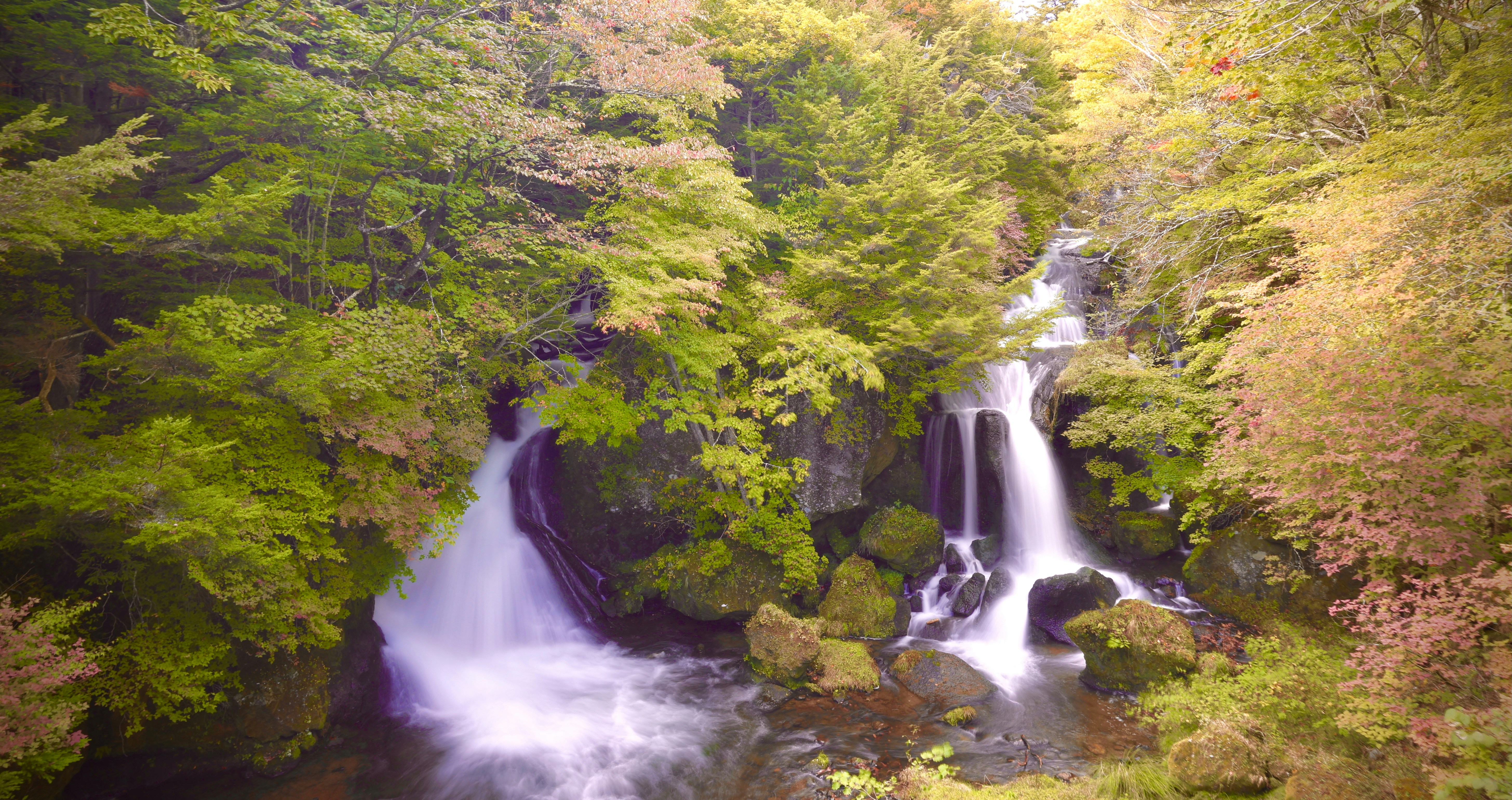 Uma cachoeira no meio de uma floresta