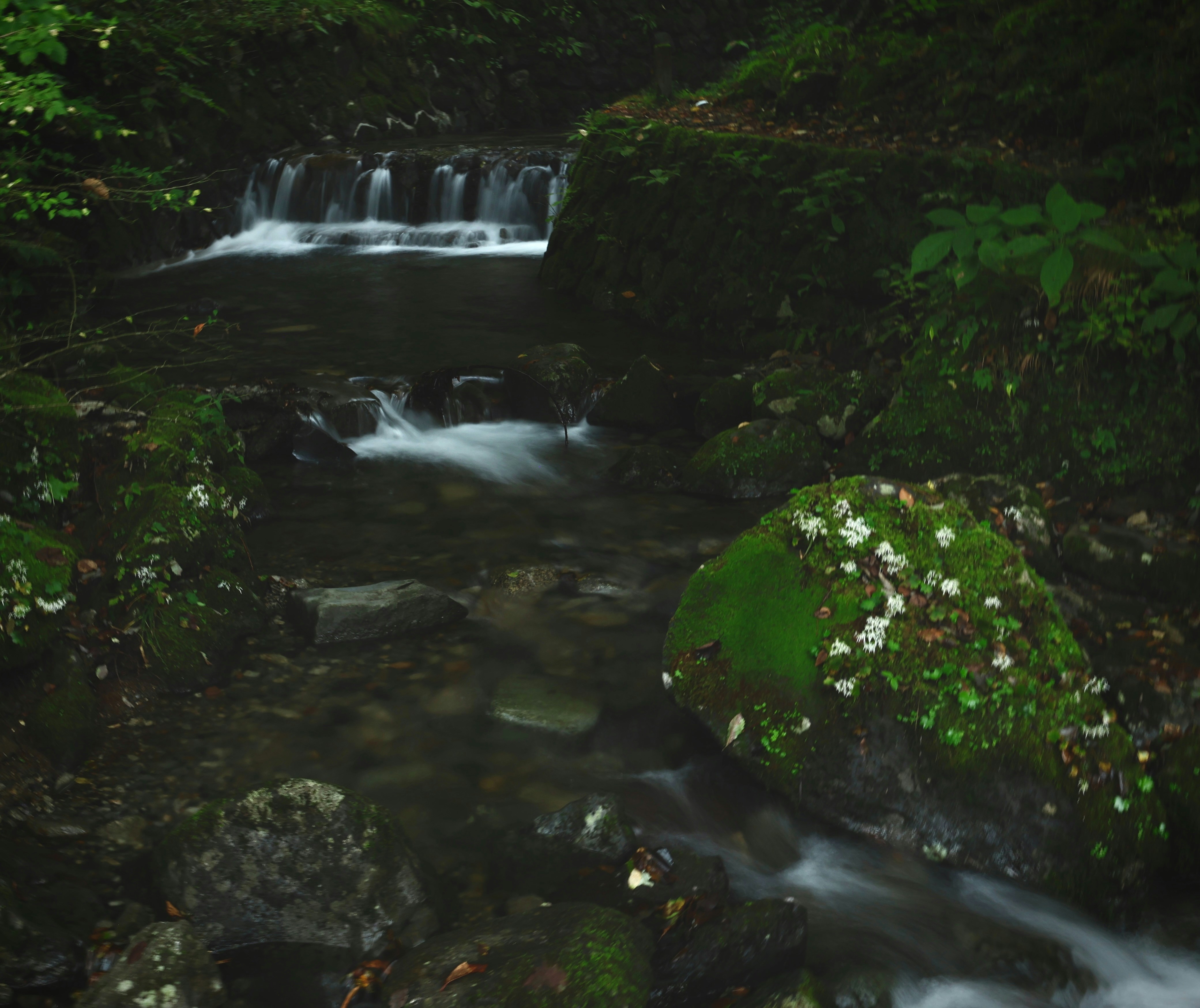 Photo by jl_darren25