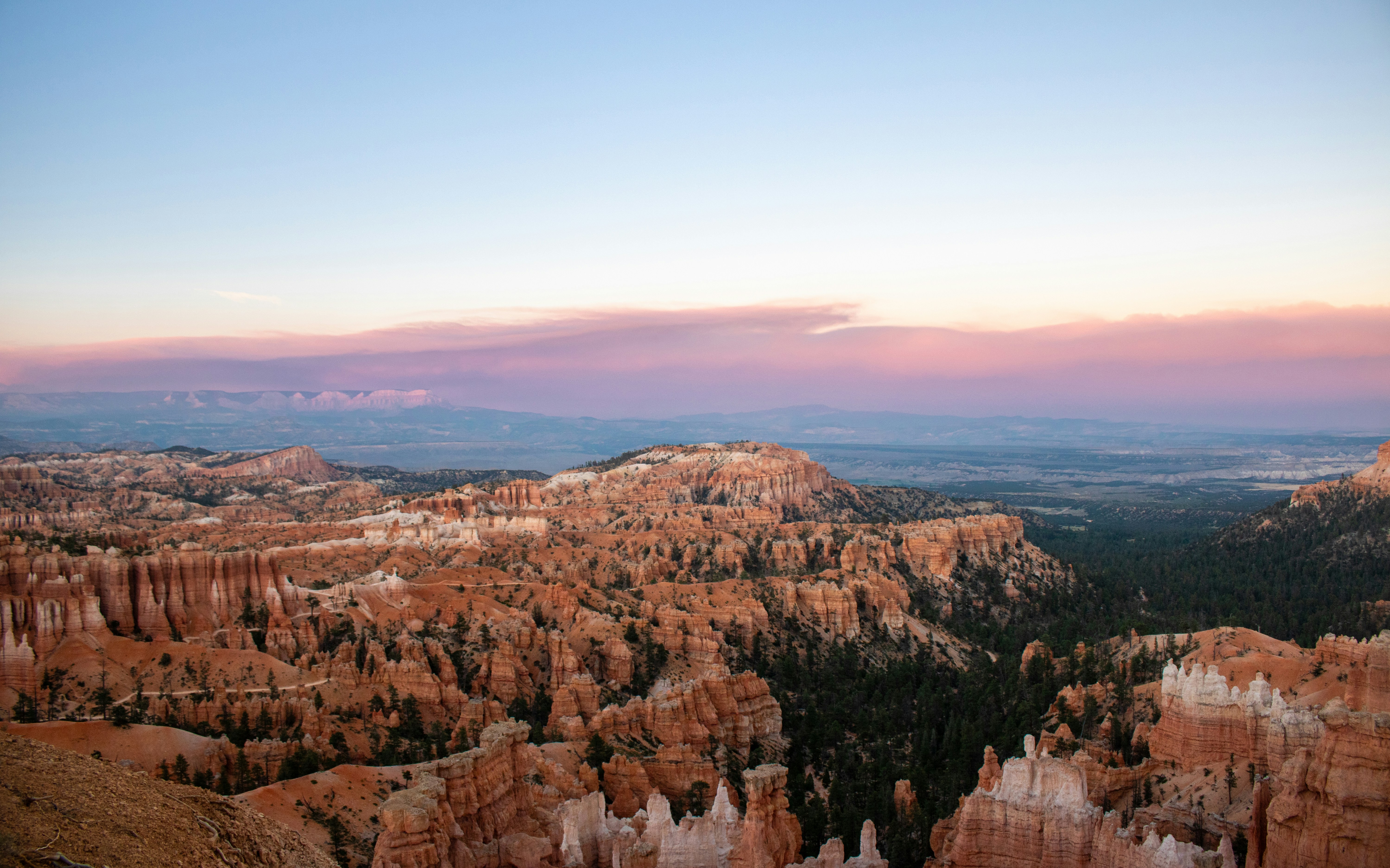 Photo by zoshuacolah