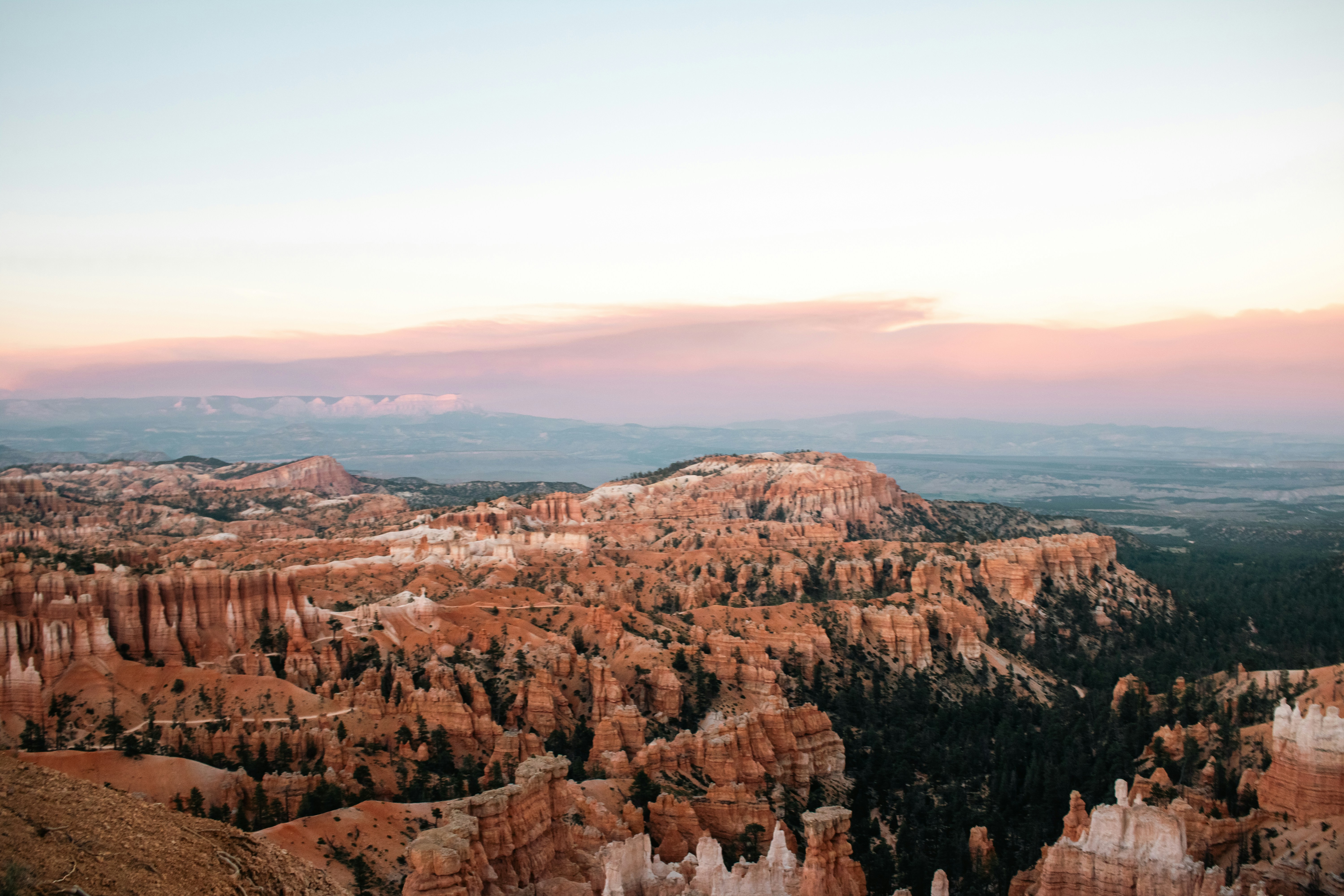 Photo by zoshuacolah