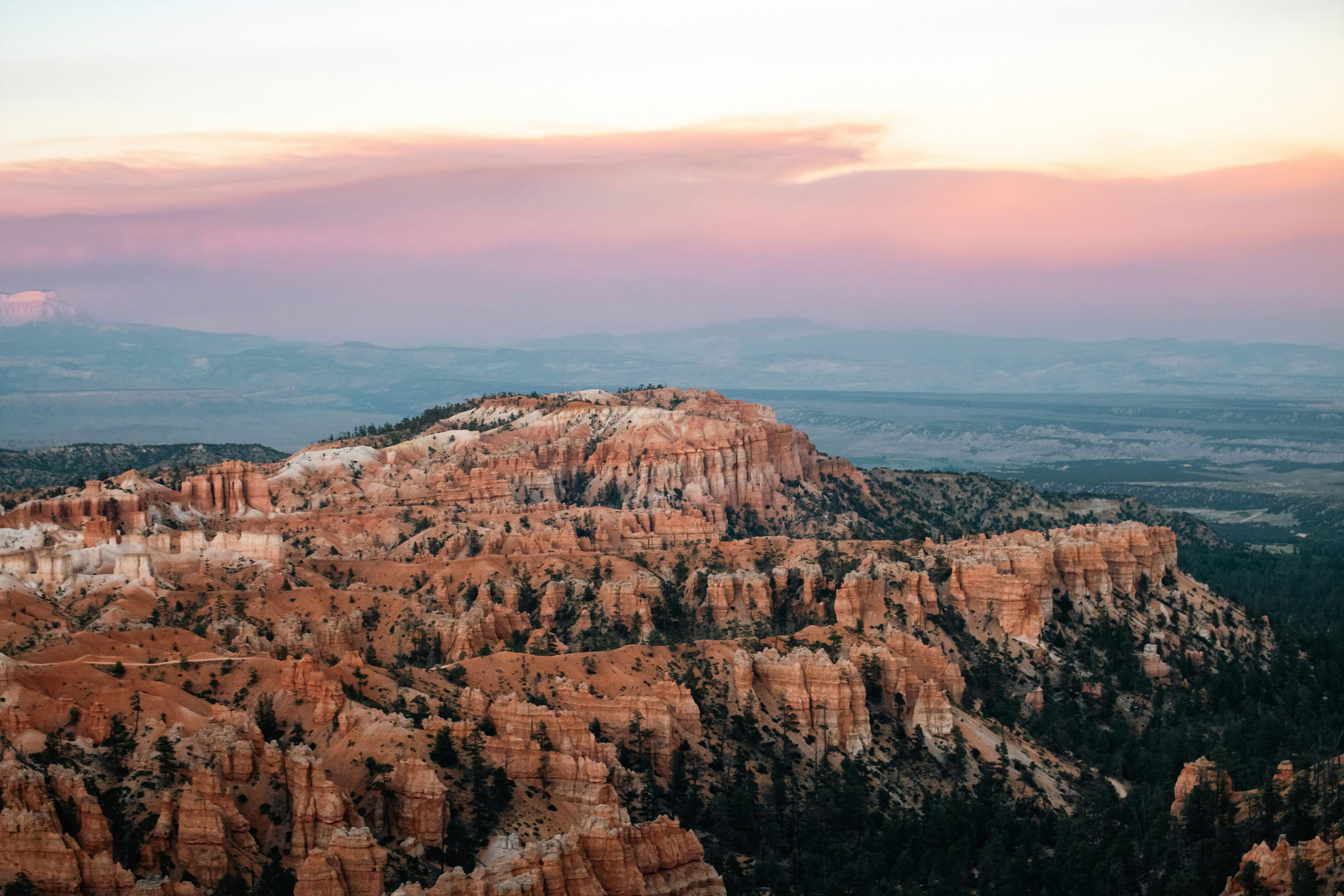 Photo by zoshuacolah