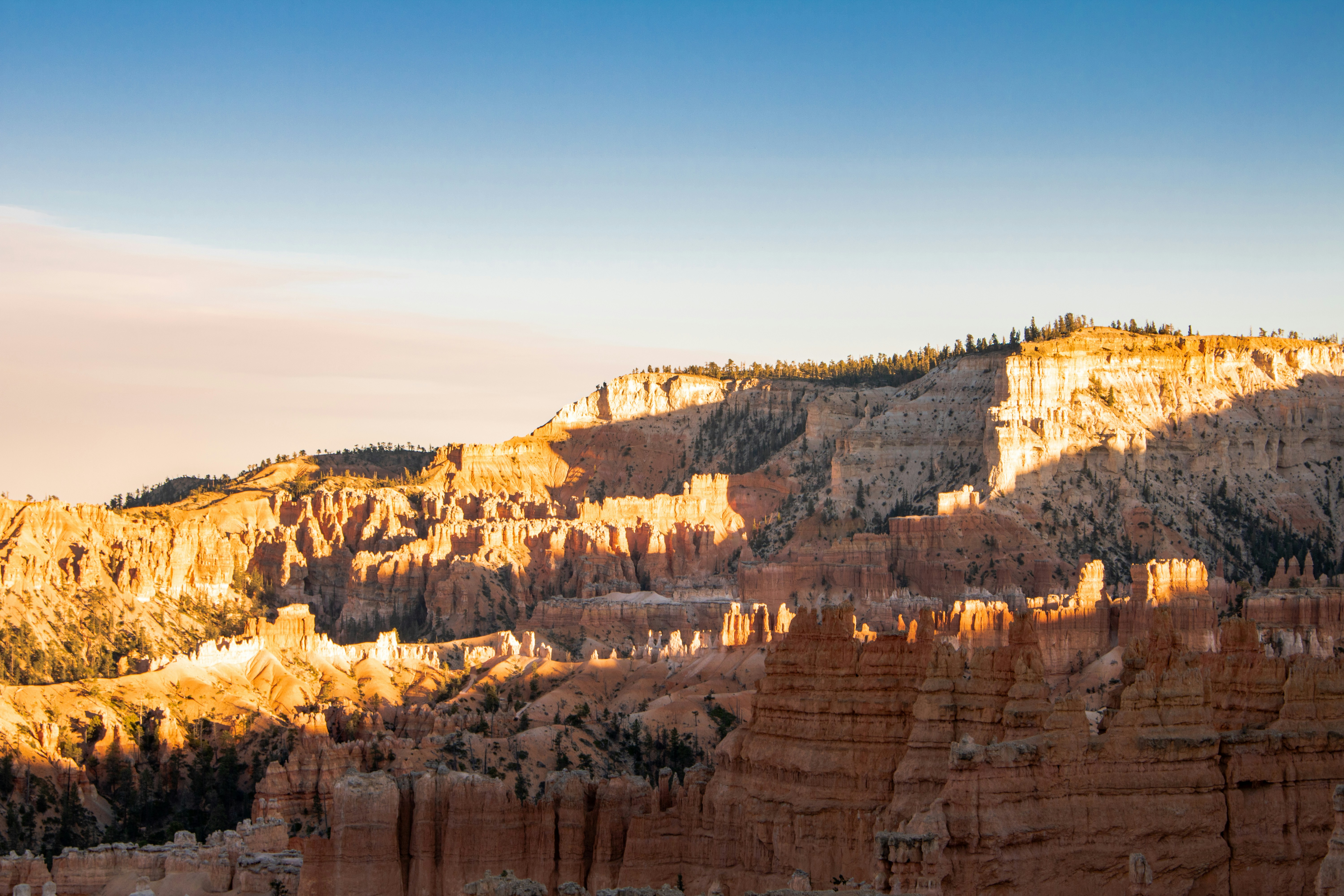 Photo by zoshuacolah