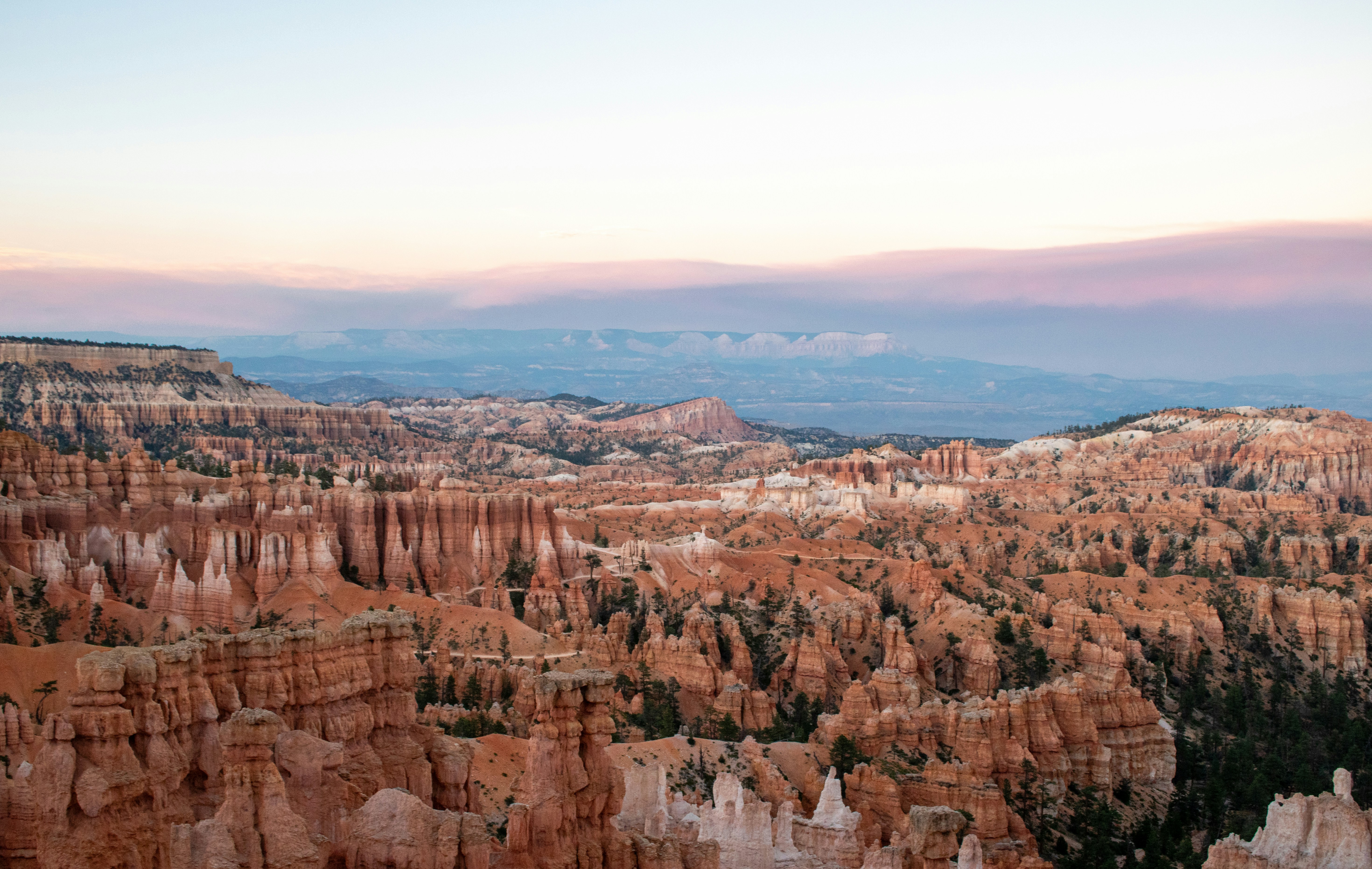 Photo by zoshuacolah