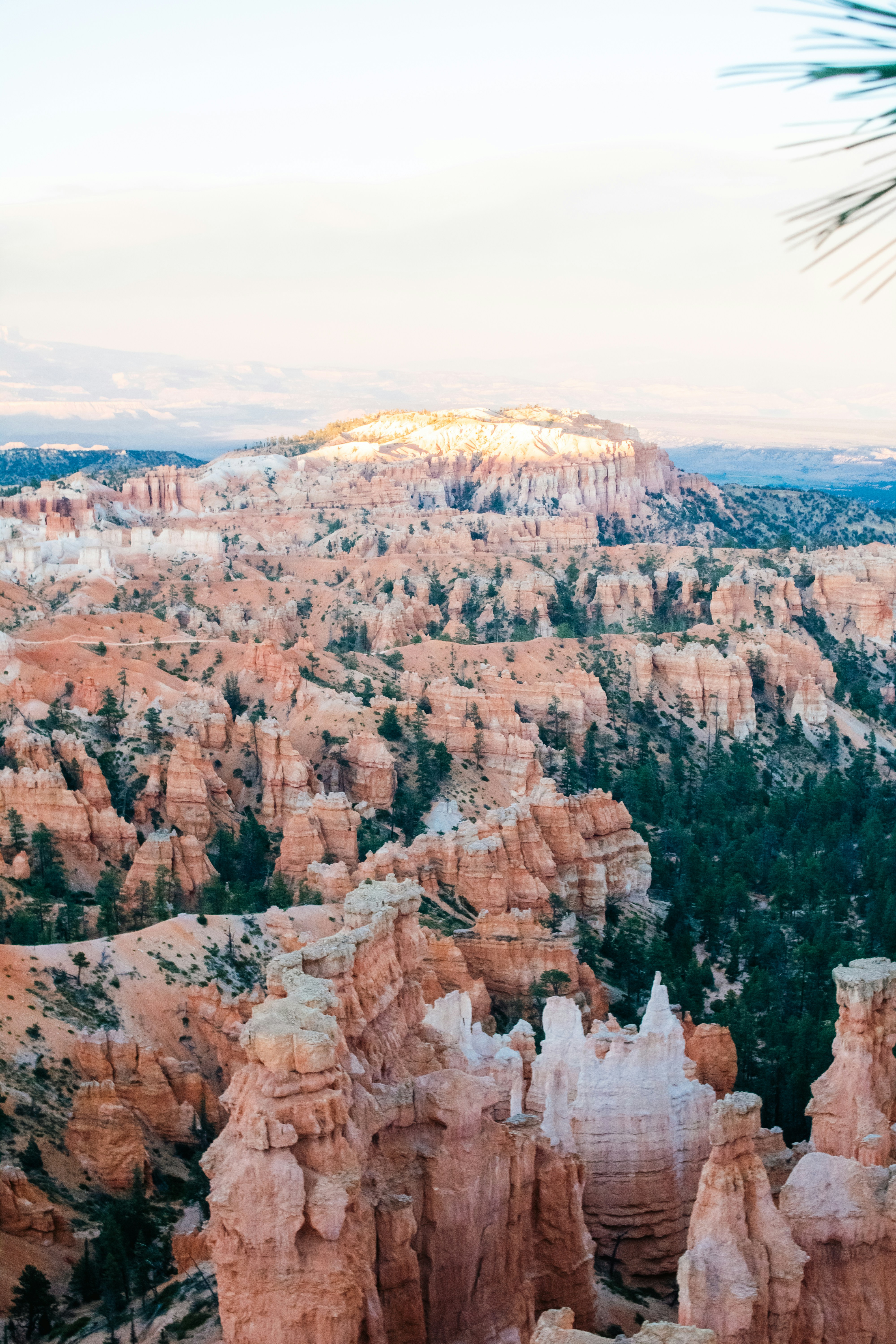 Photo by zoshuacolah