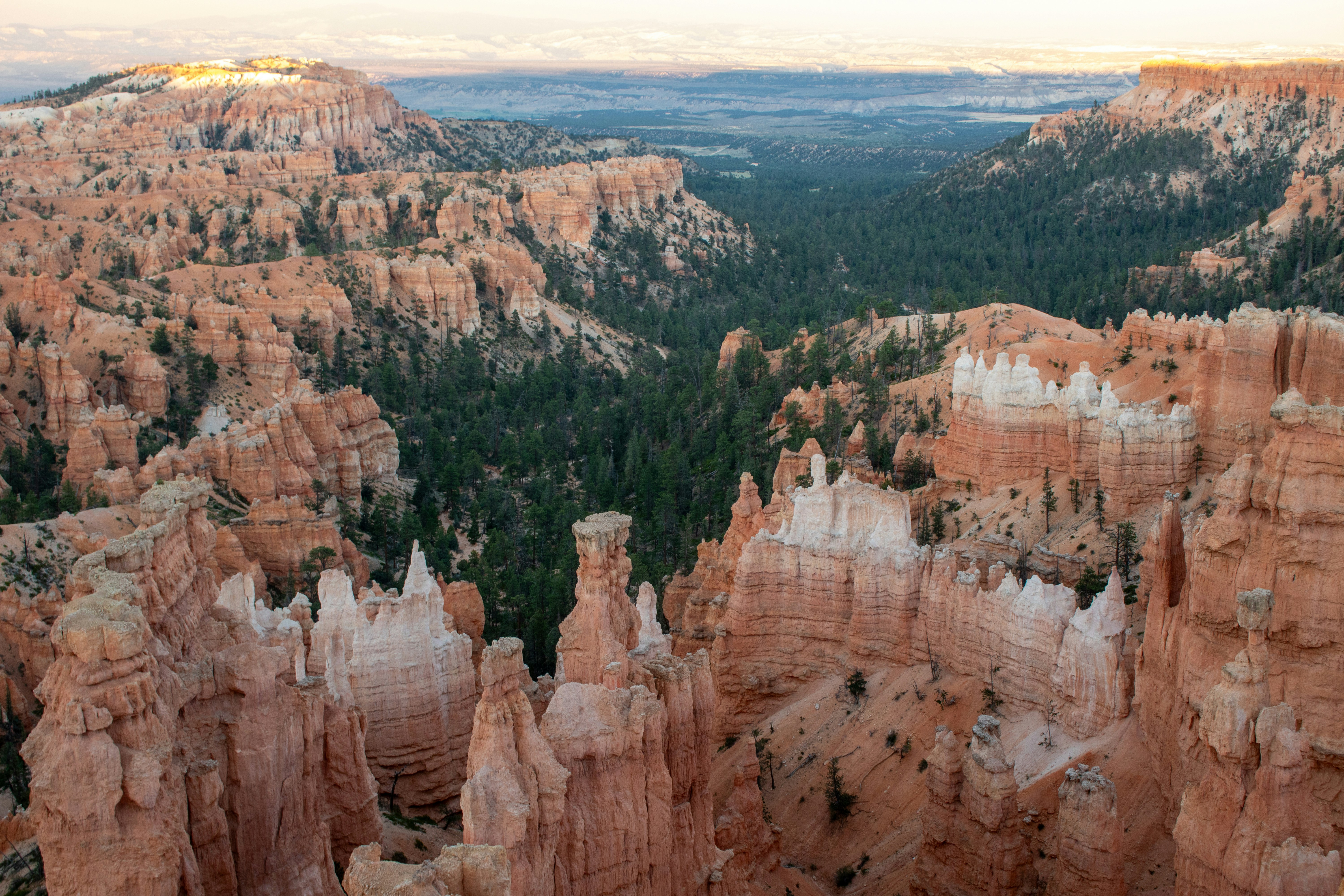 Photo by zoshuacolah