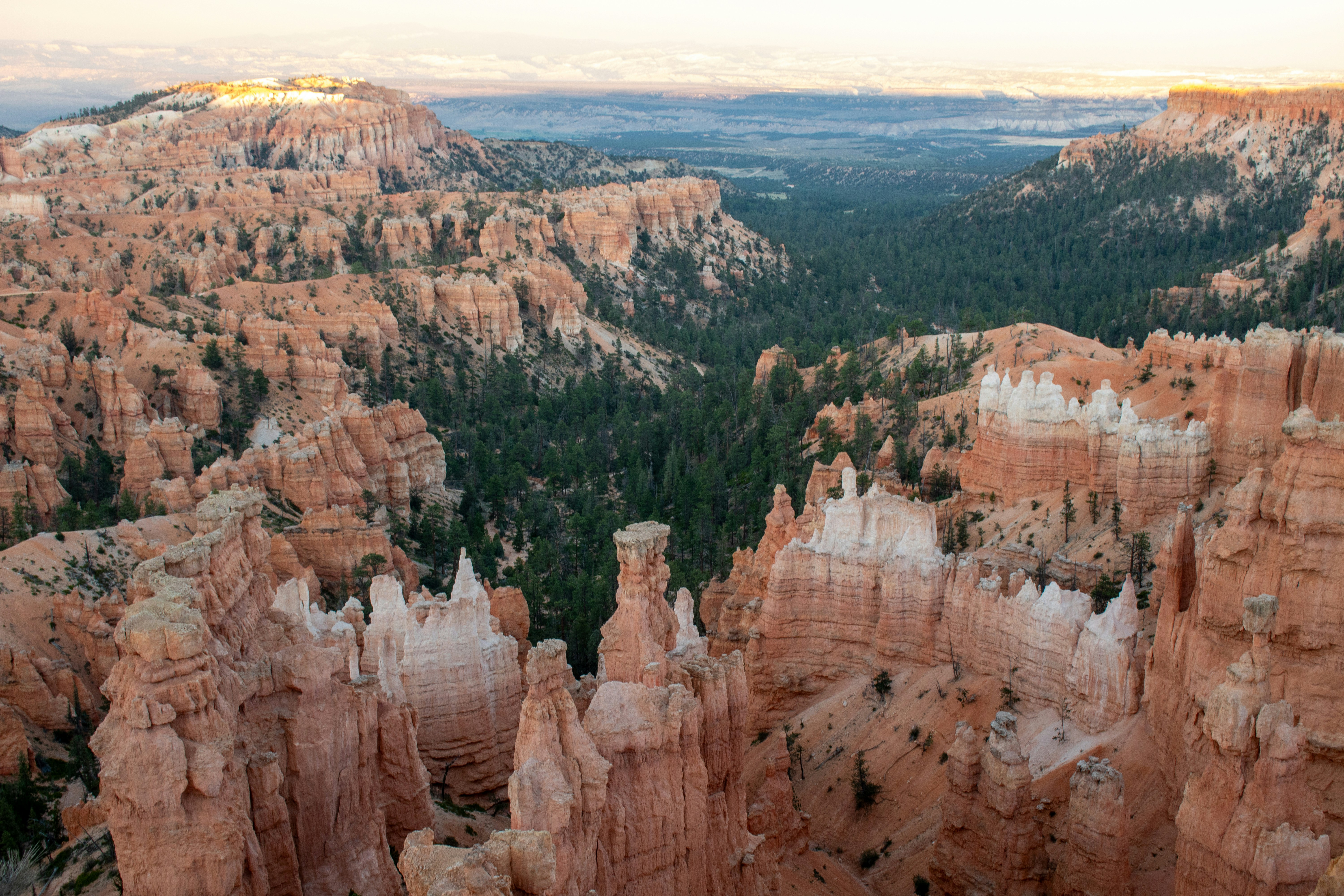 Photo by zoshuacolah