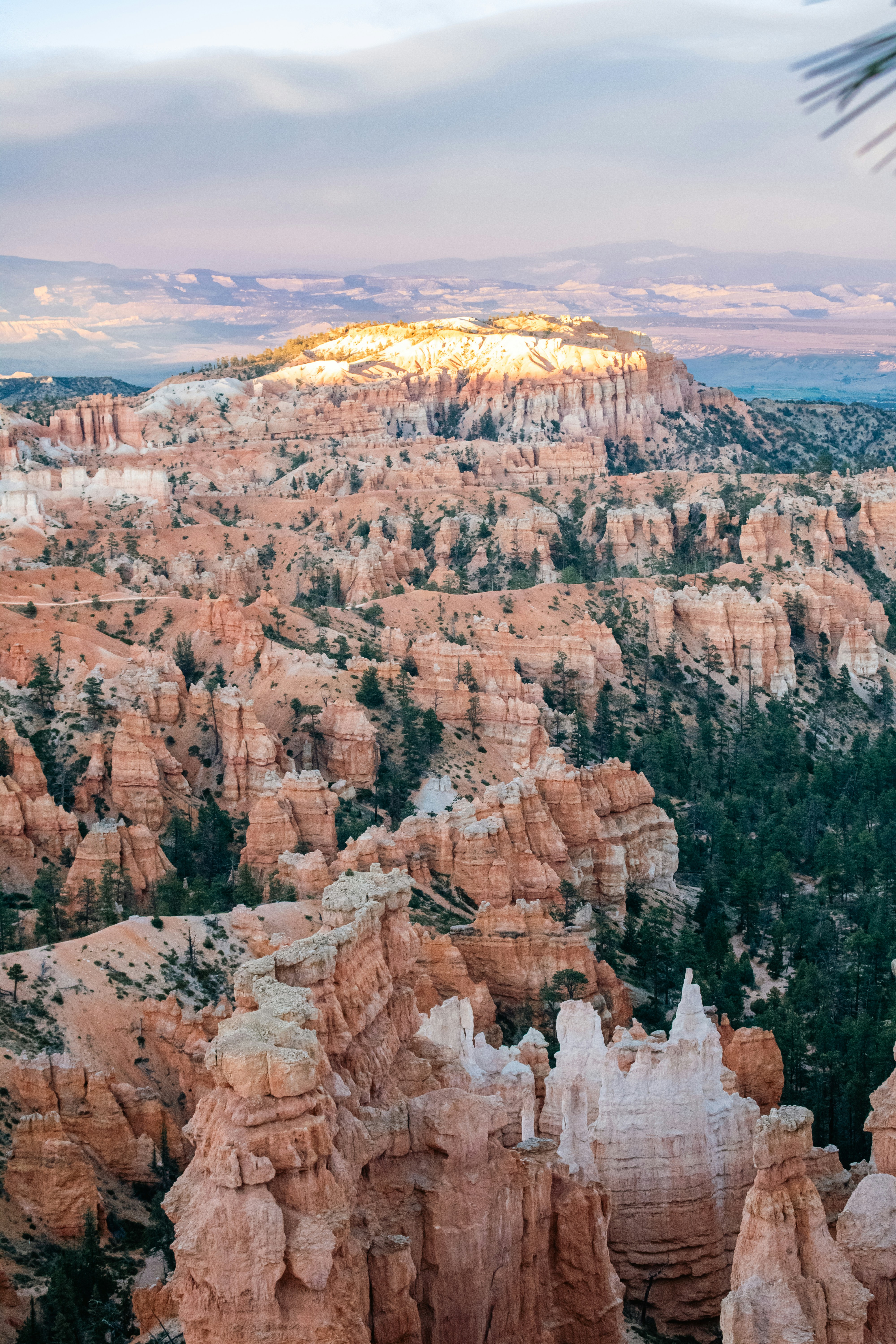 Photo by zoshuacolah