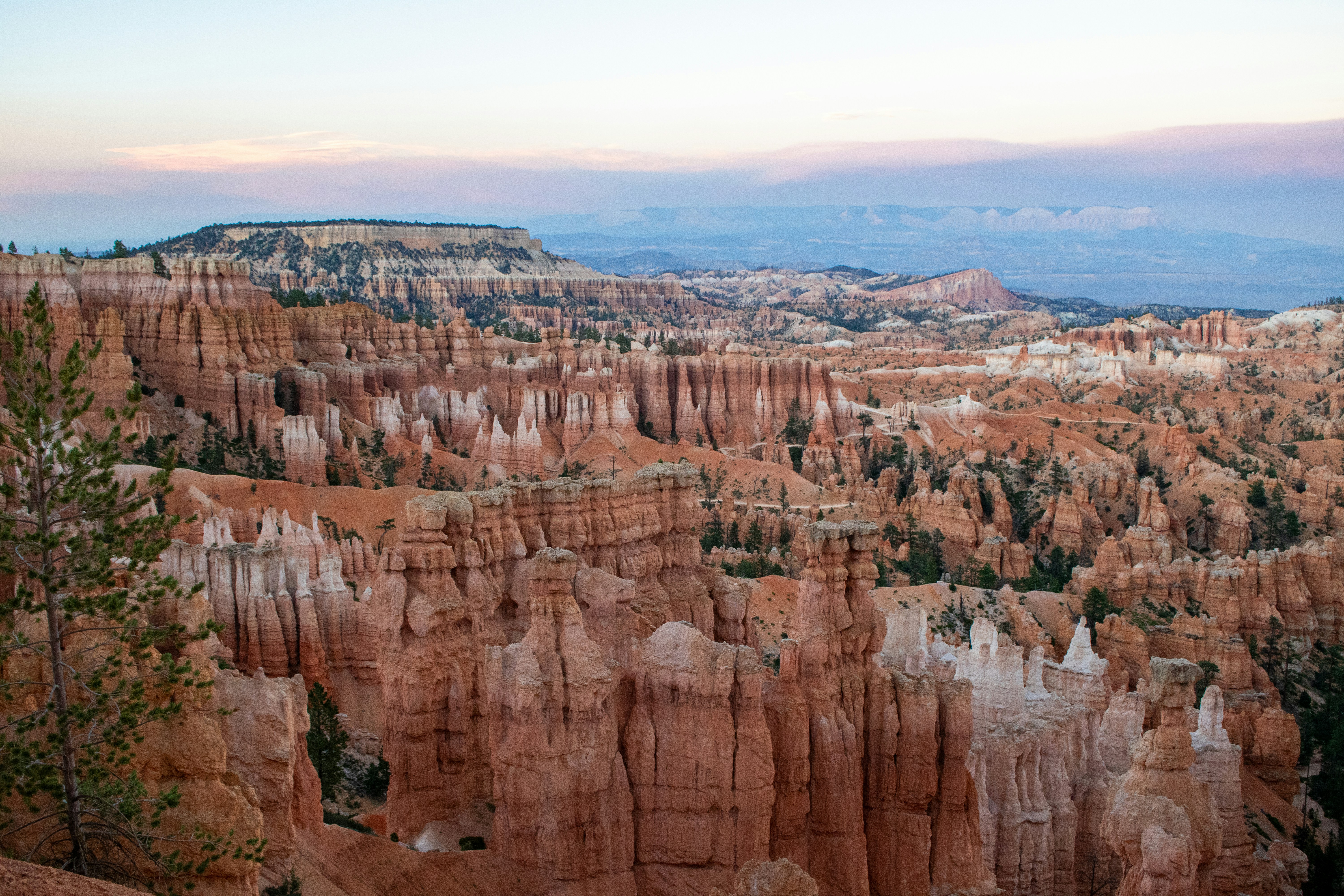 Photo by zoshuacolah