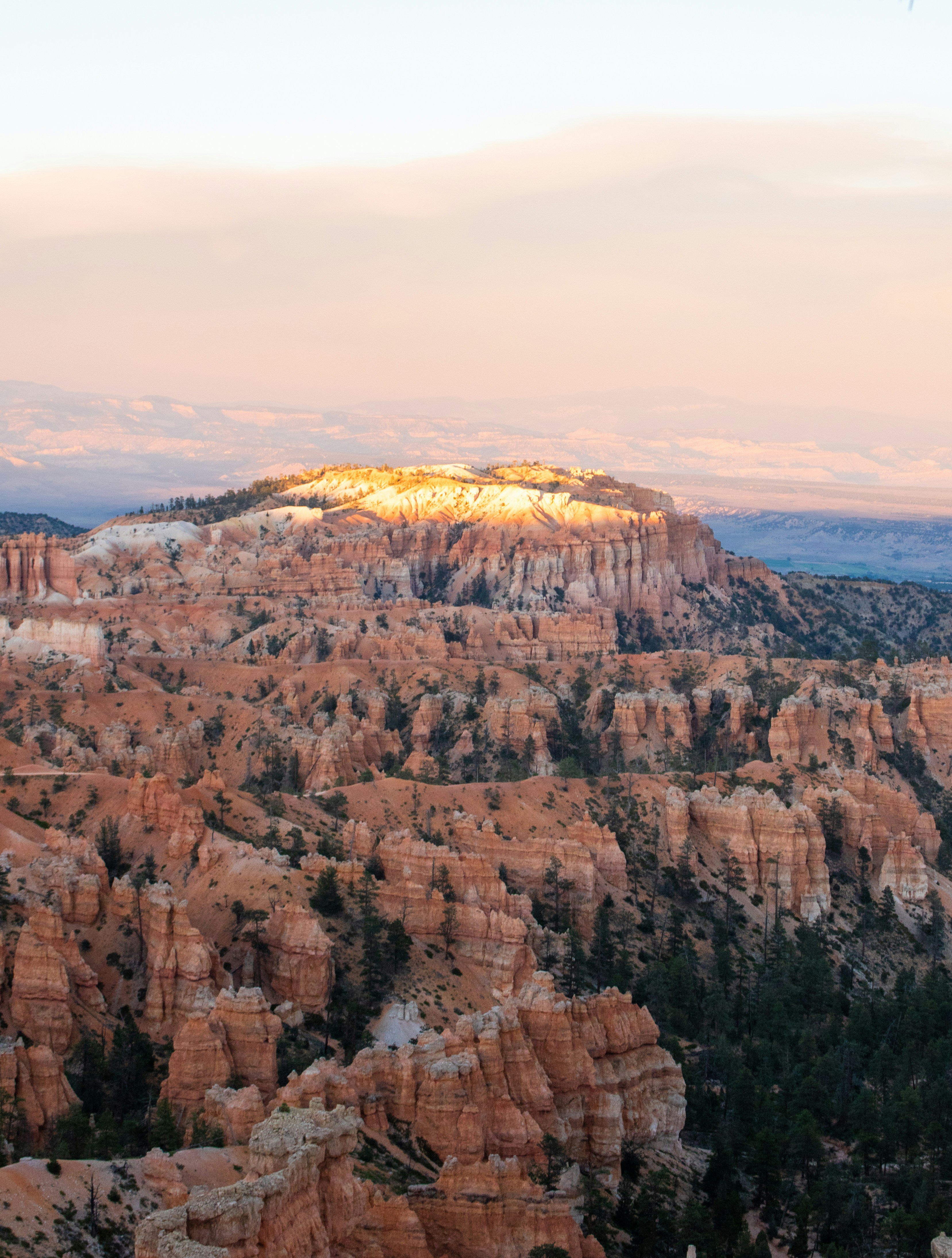 Photo by zoshuacolah