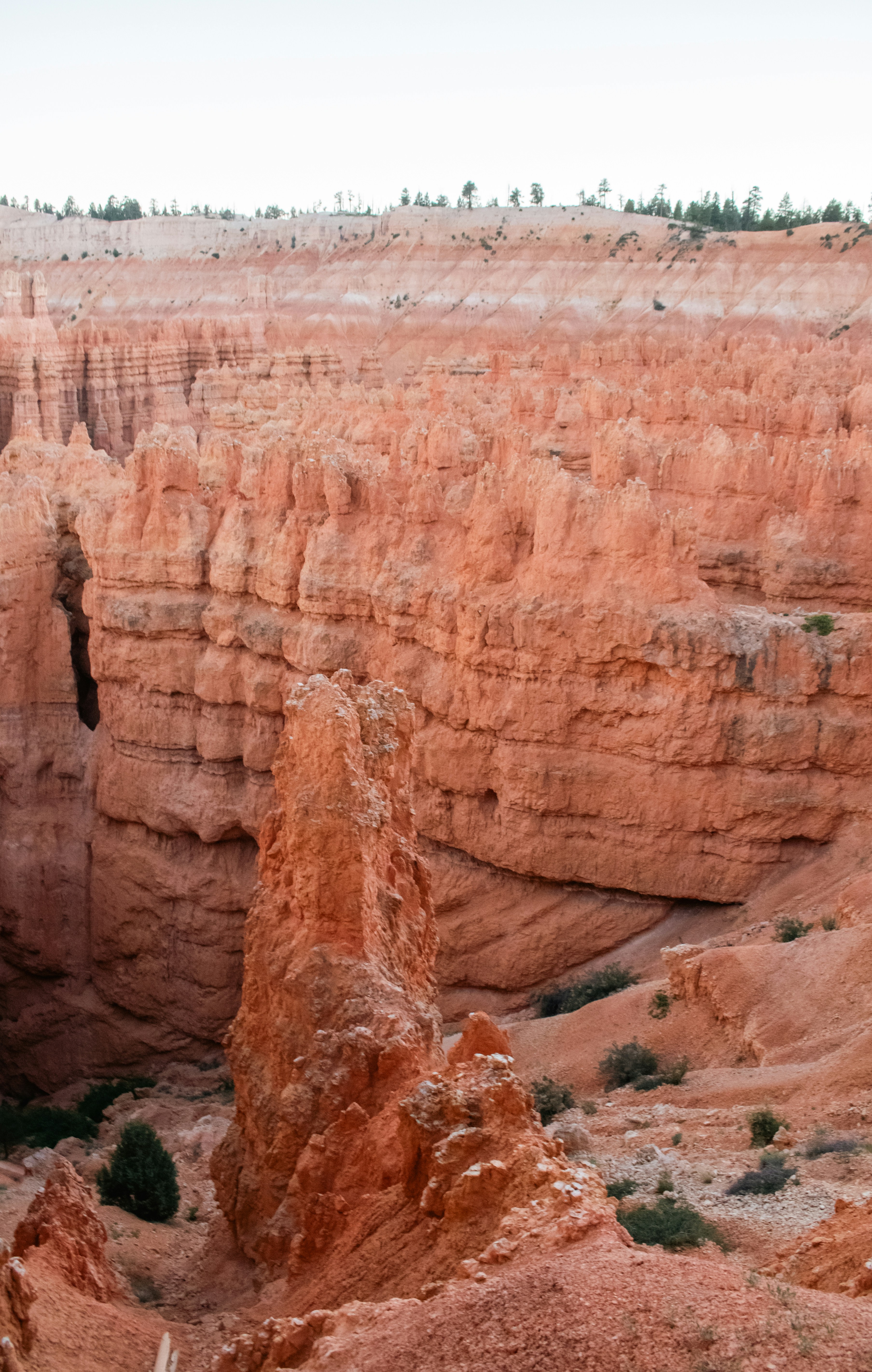 Photo by zoshuacolah