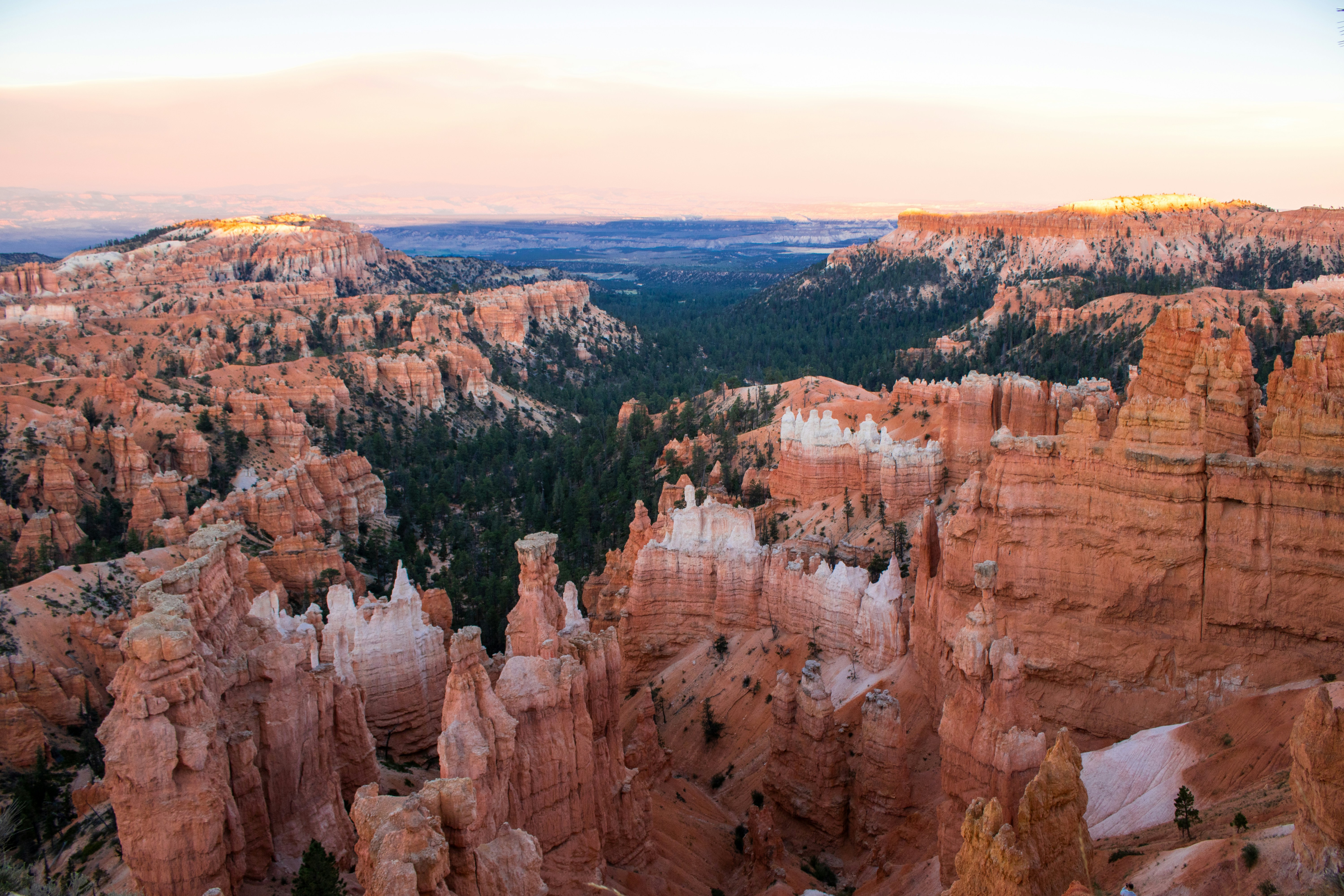 Photo by zoshuacolah