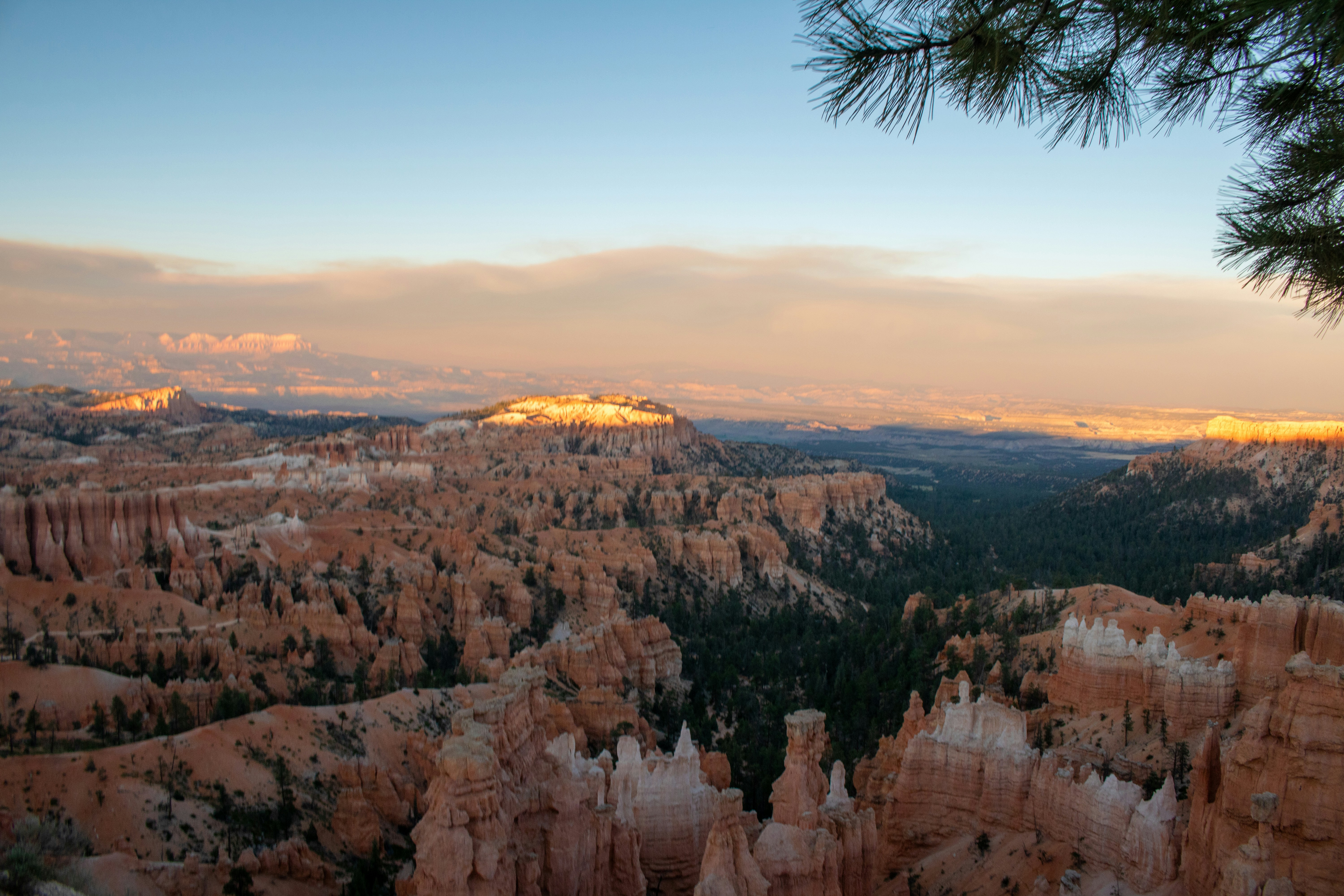 Photo by zoshuacolah