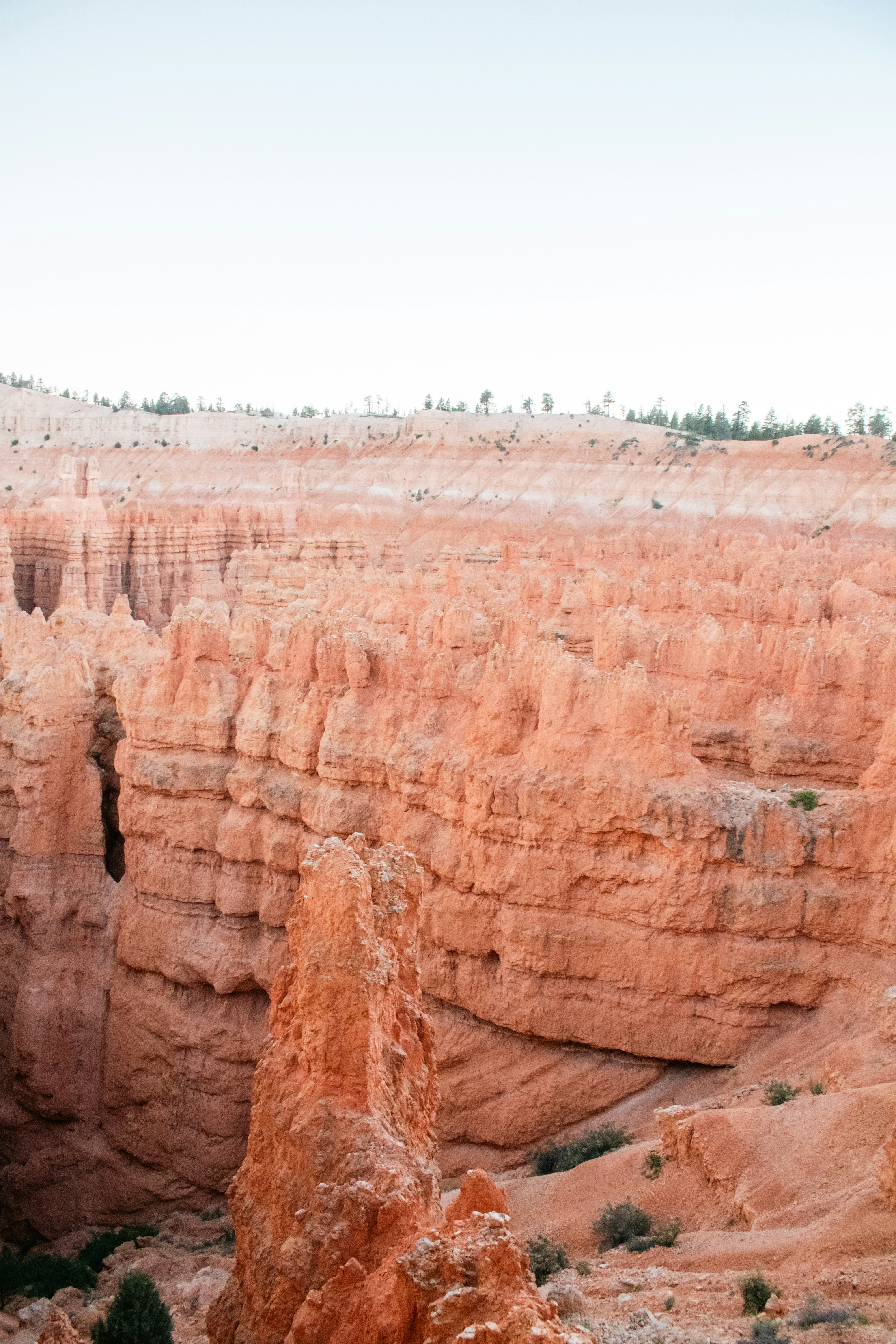 Photo by zoshuacolah