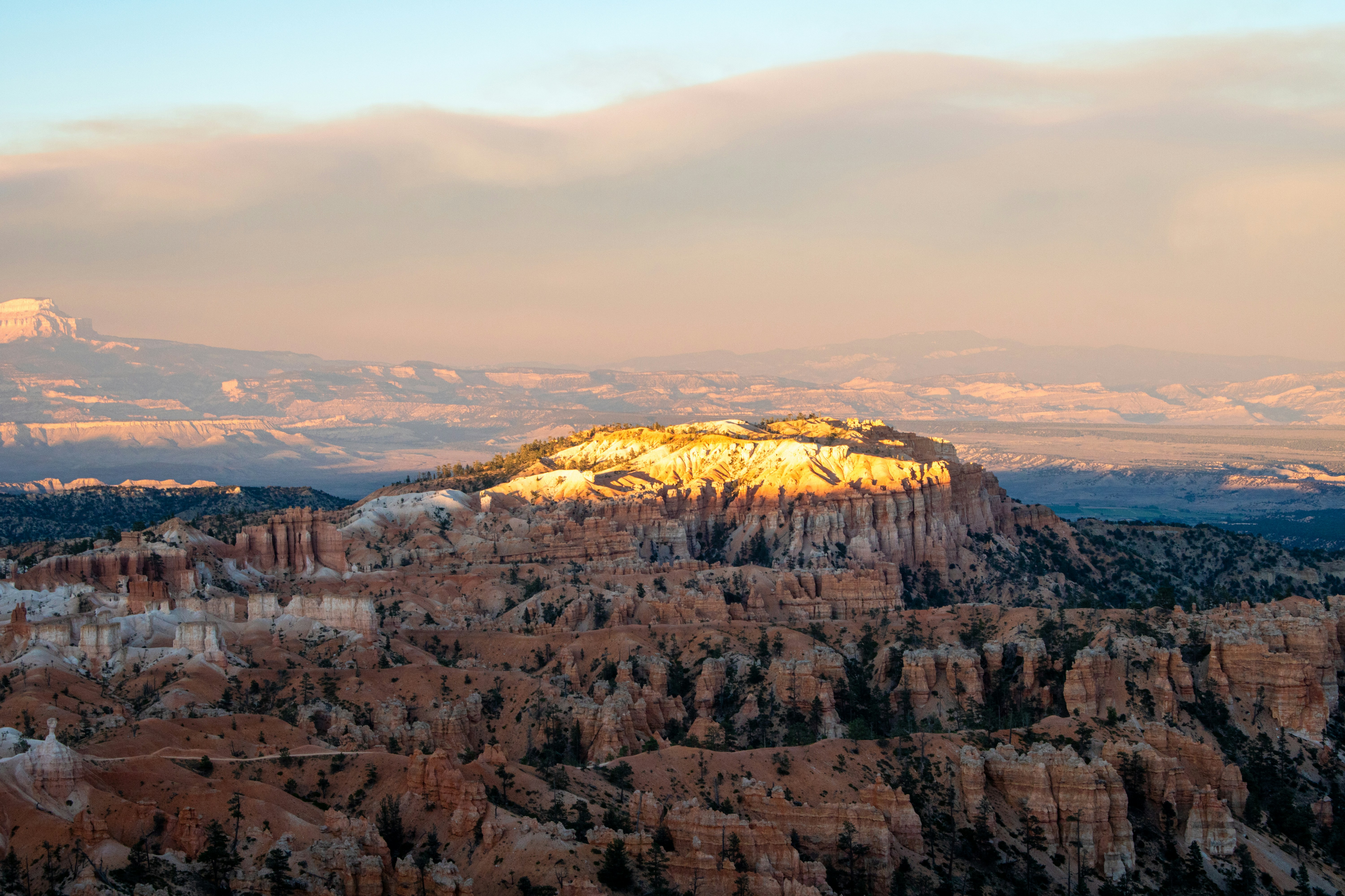 Photo by zoshuacolah