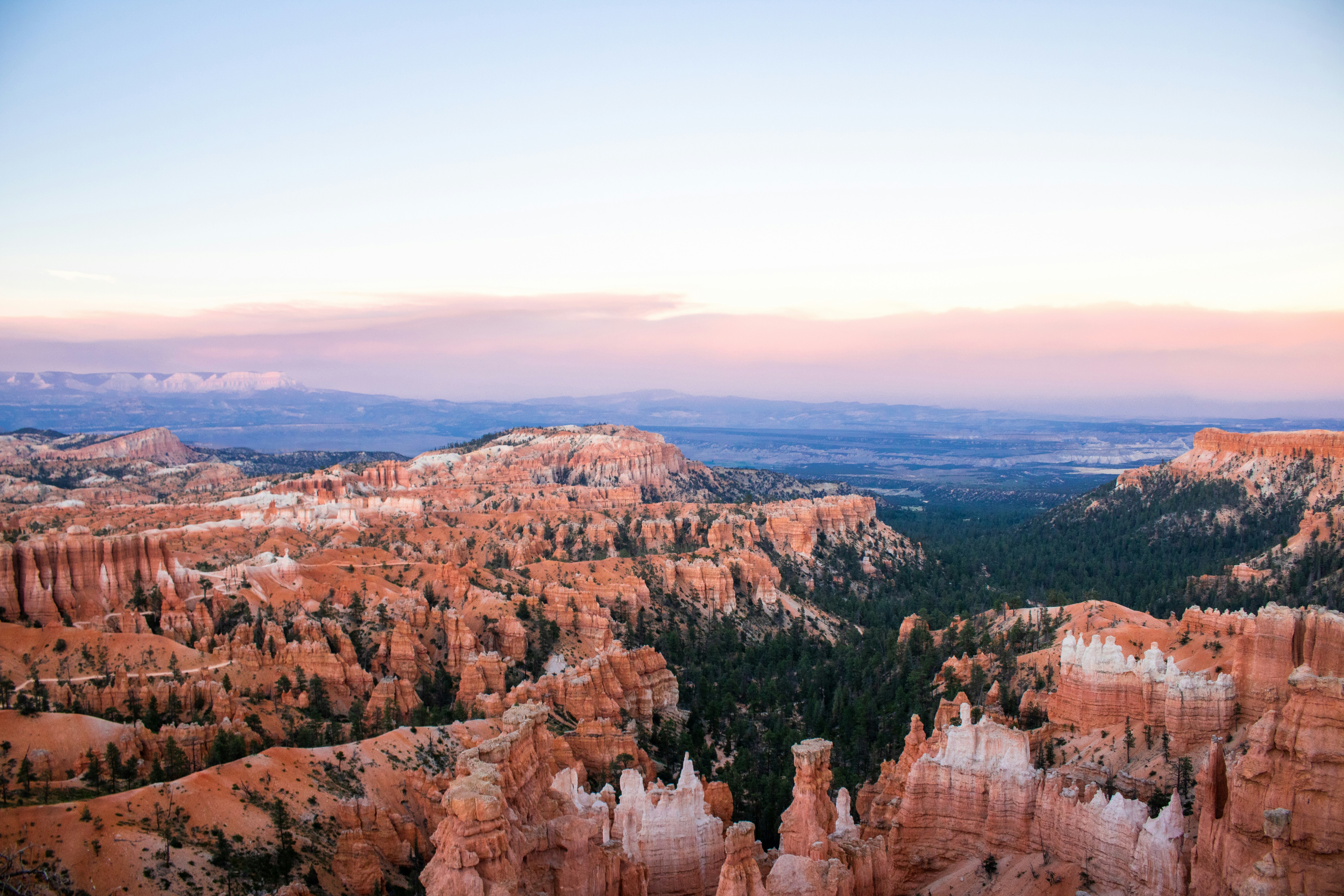 Photo by zoshuacolah