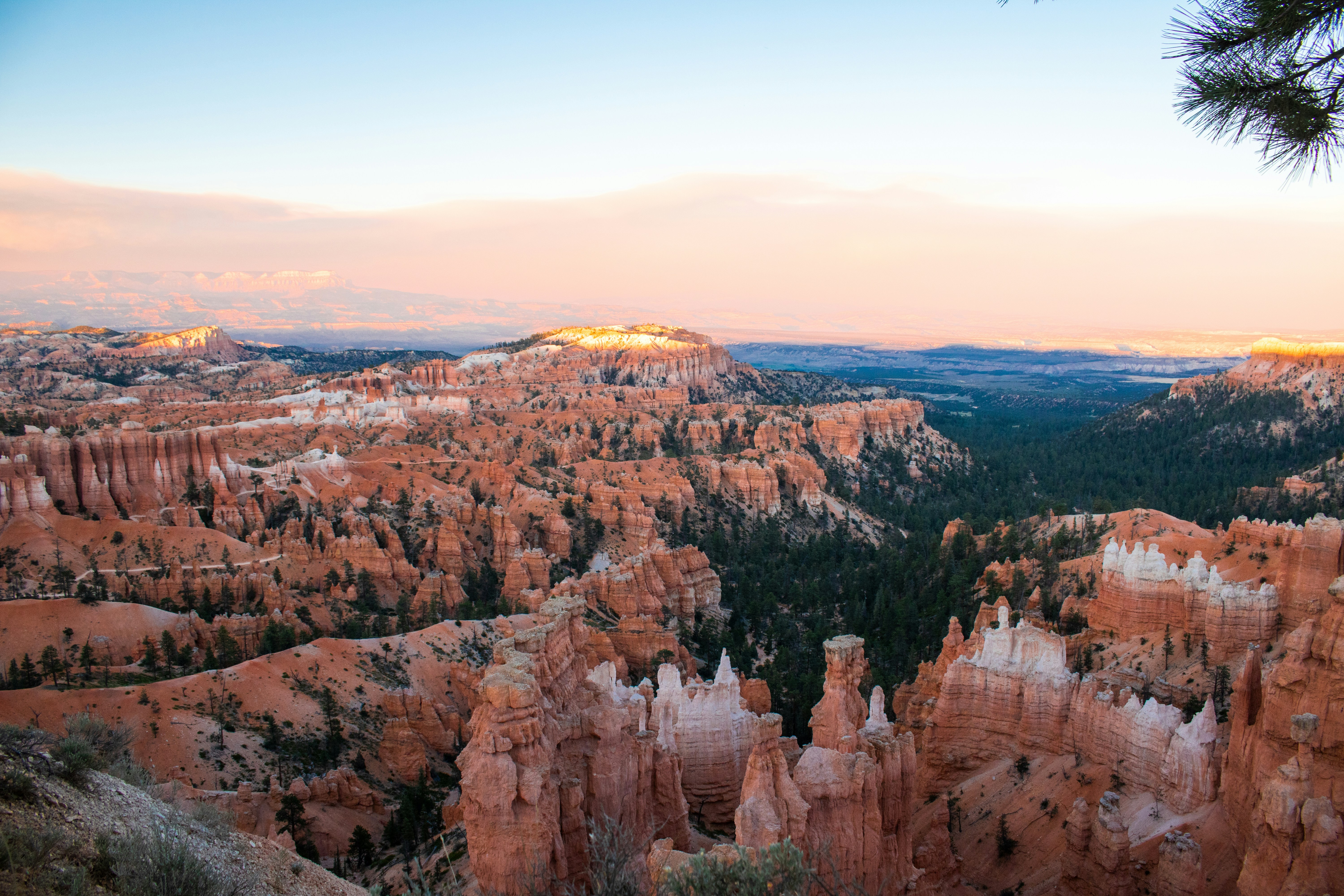 Photo by zoshuacolah