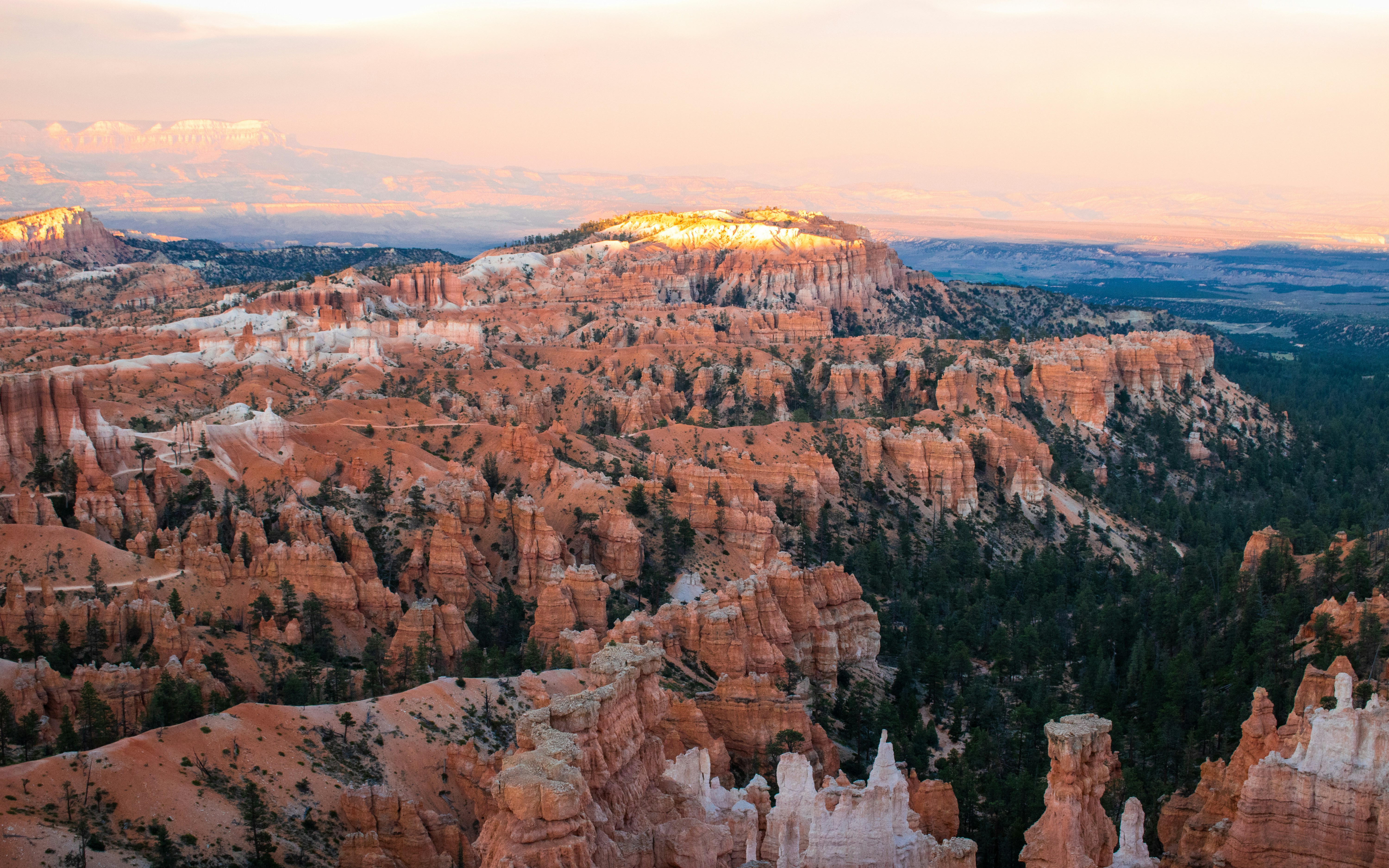 Photo by zoshuacolah