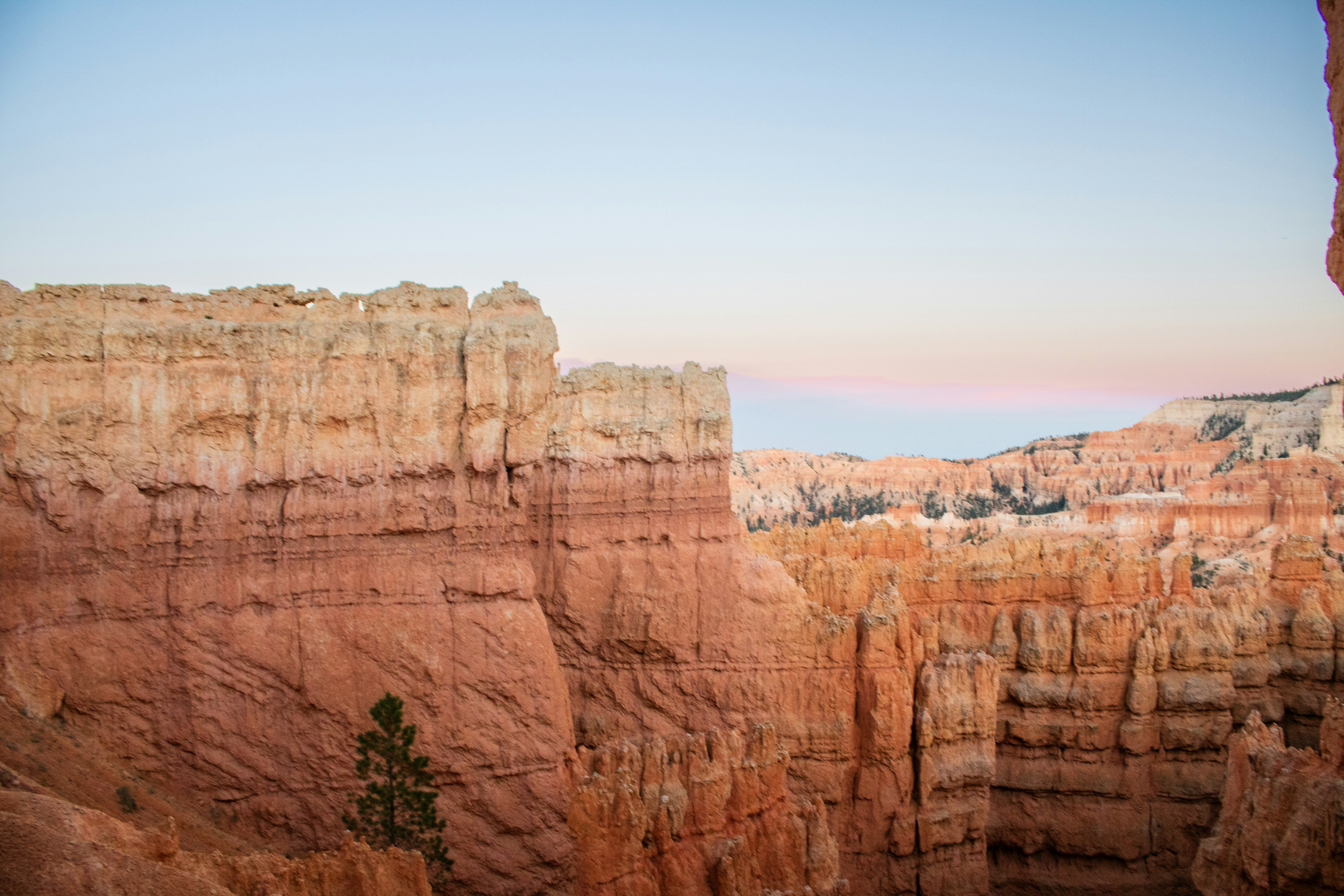 Photo by zoshuacolah