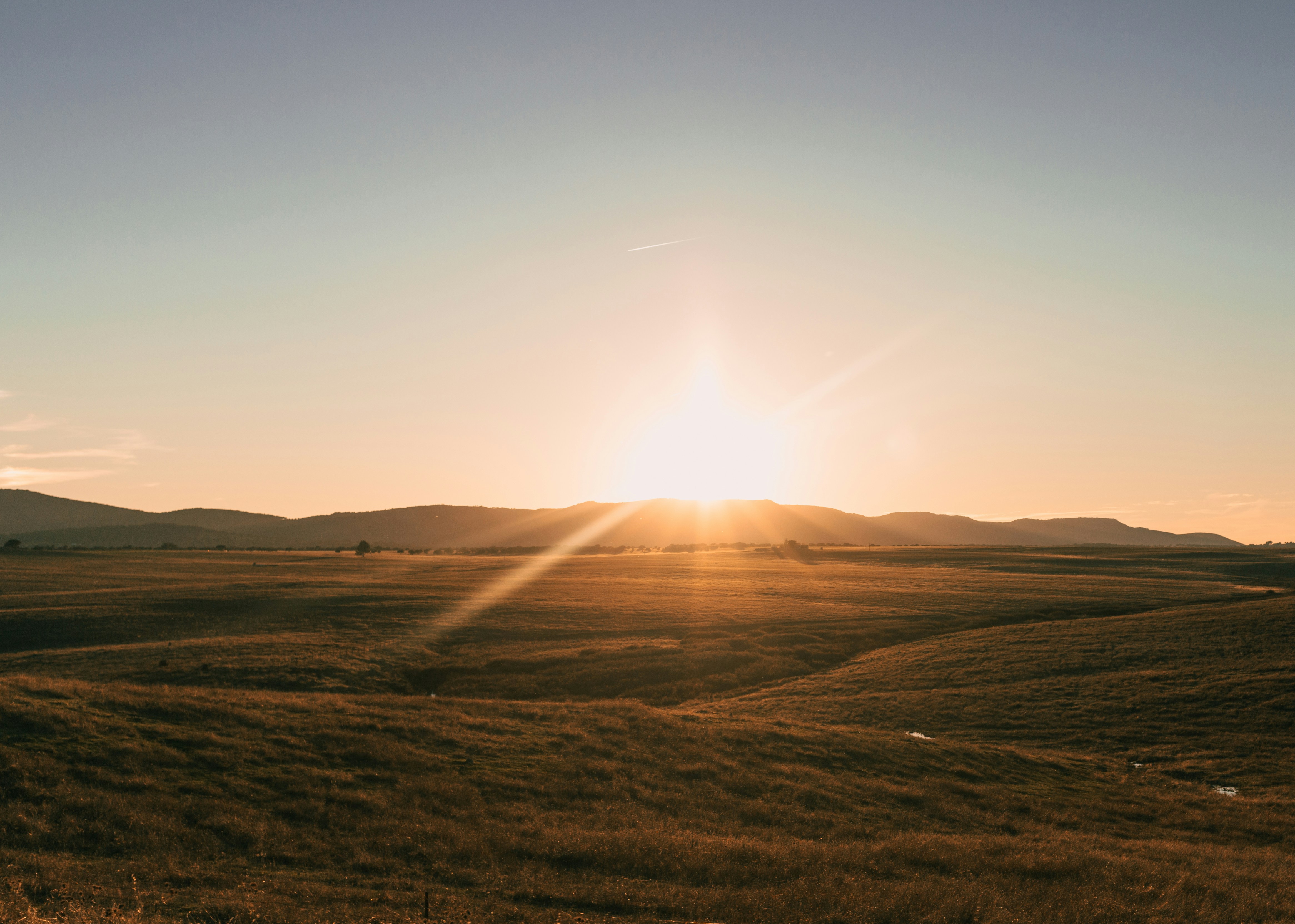 The sun is setting over a grassy plain