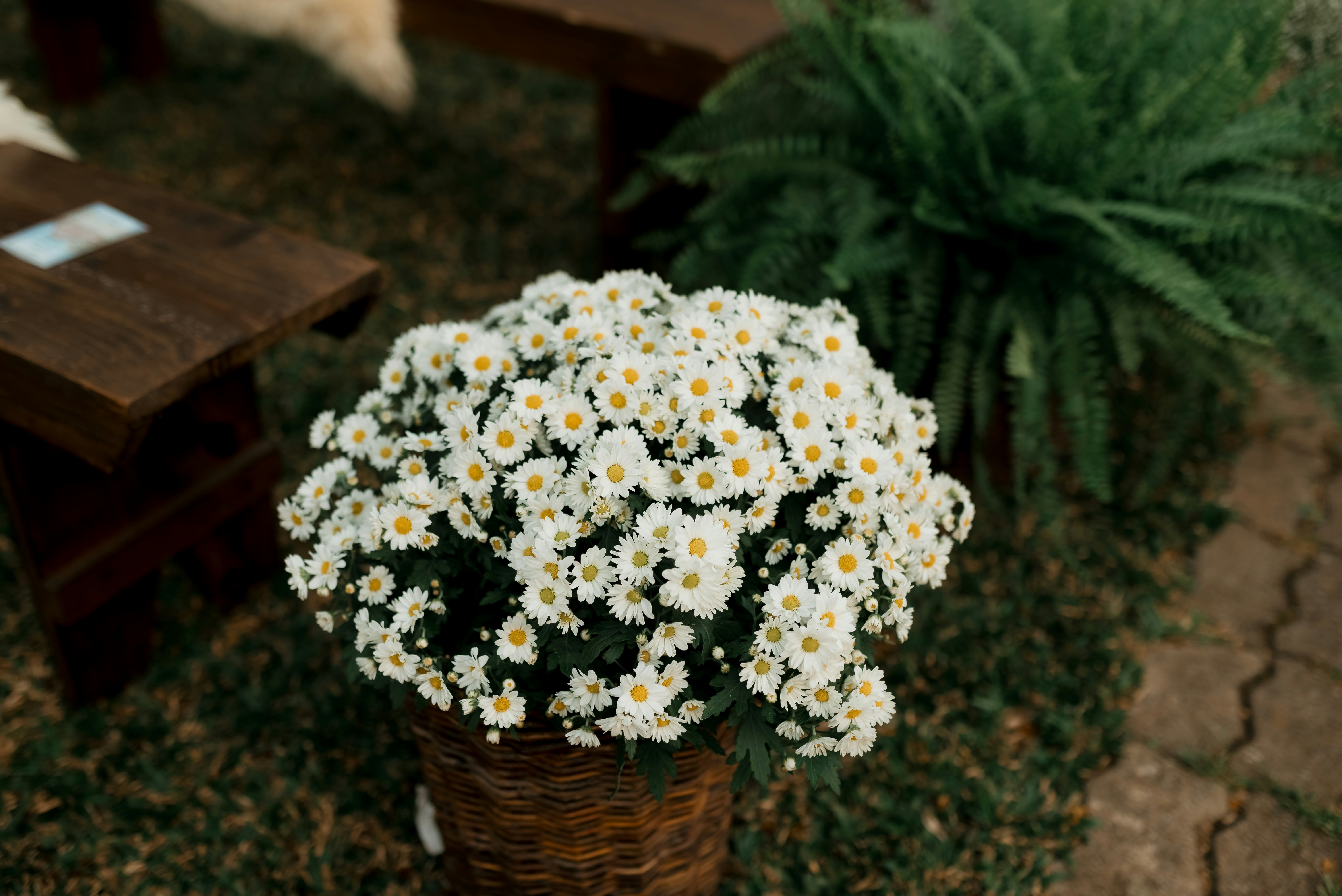 Photo by jonathanborba