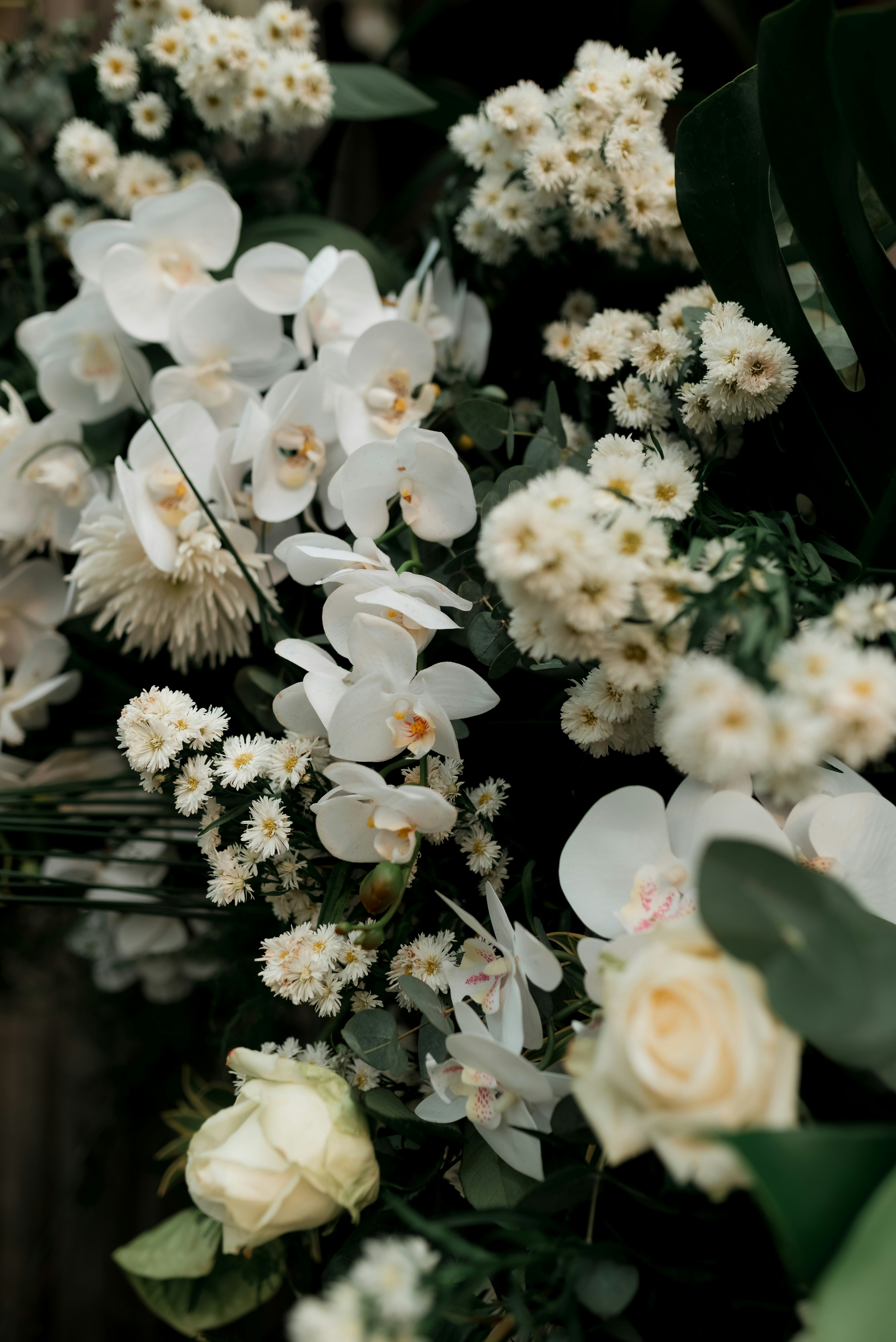 Photo by jonathanborba