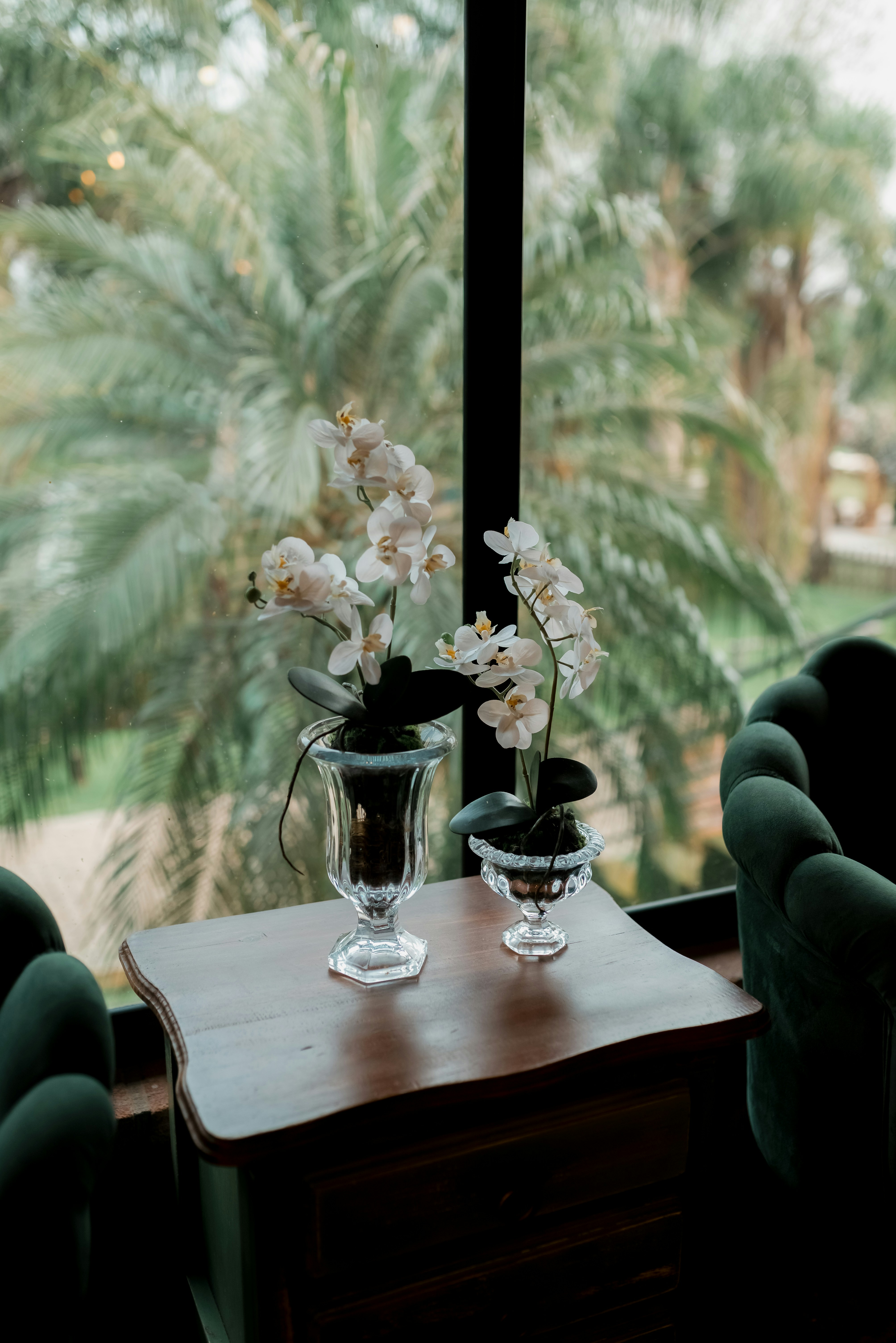 Photo by jonathanborba