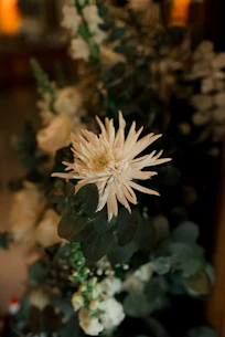 A close up of a white flower on a table