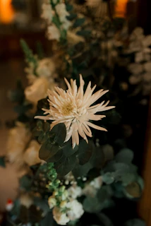 A close up of a white flower on a table
