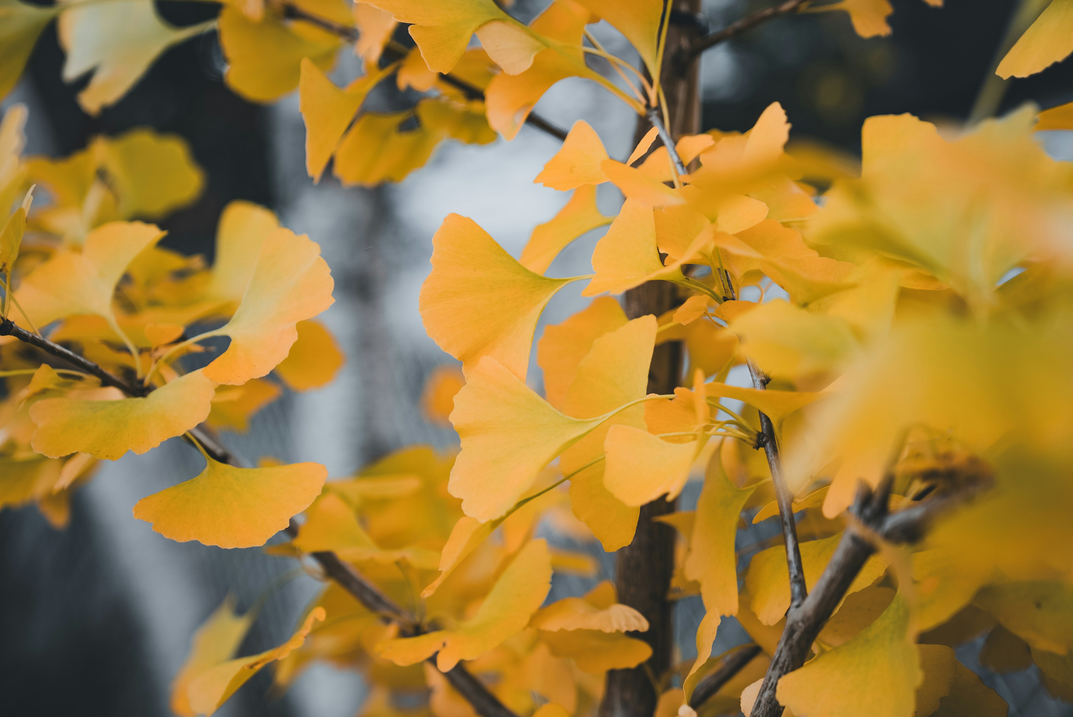 Photo by introspectivedsgn