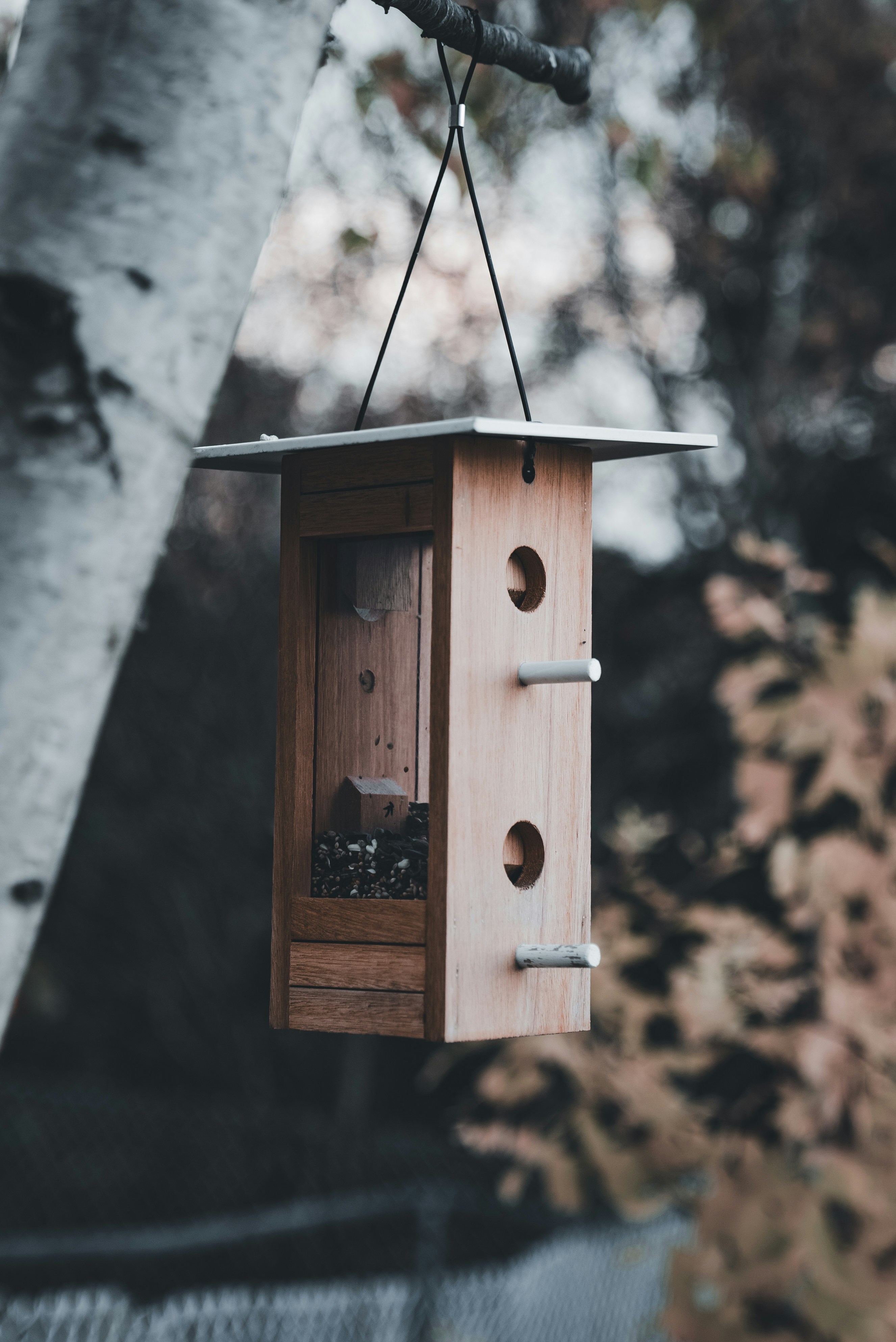 Photo by introspectivedsgn