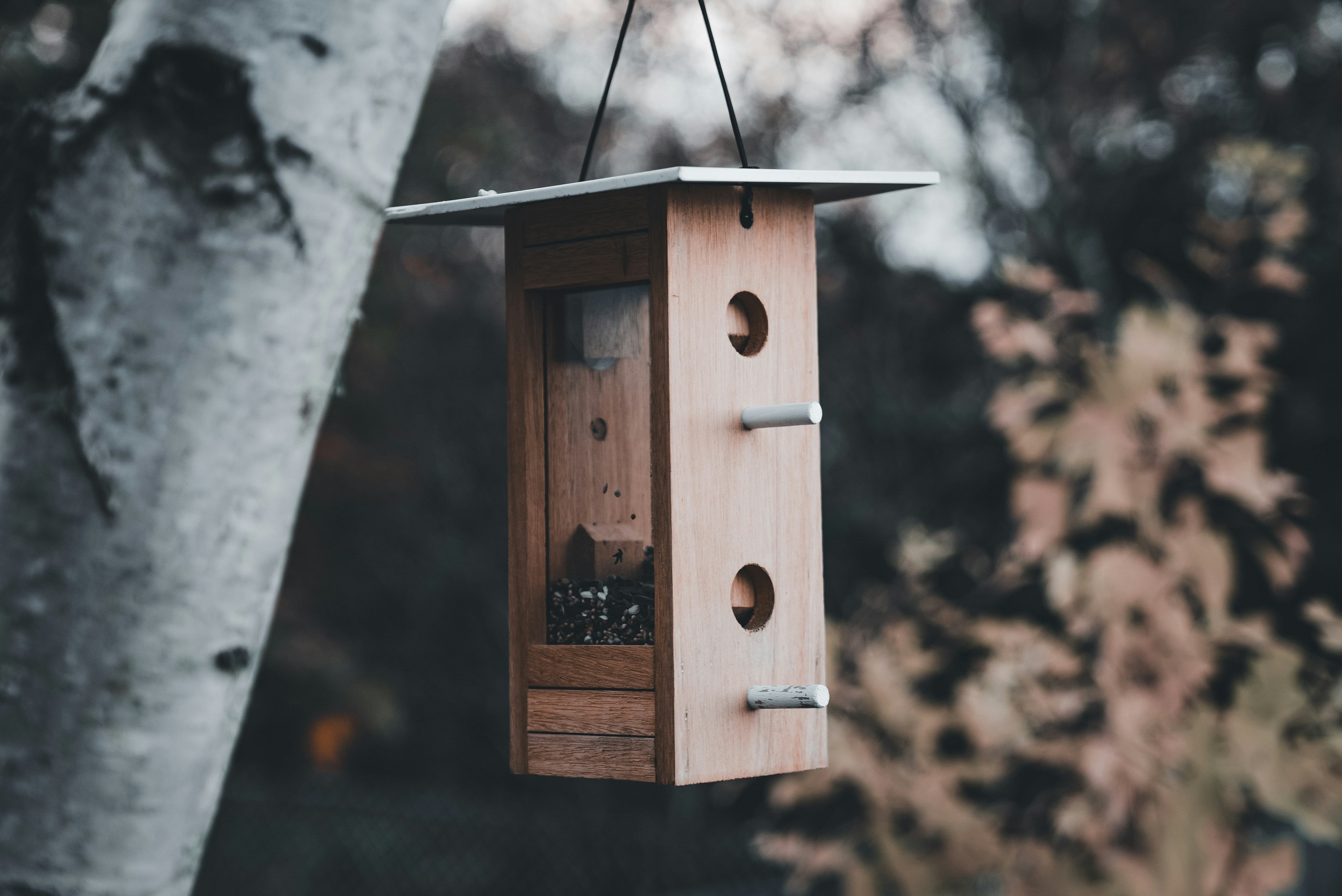 Photo by introspectivedsgn