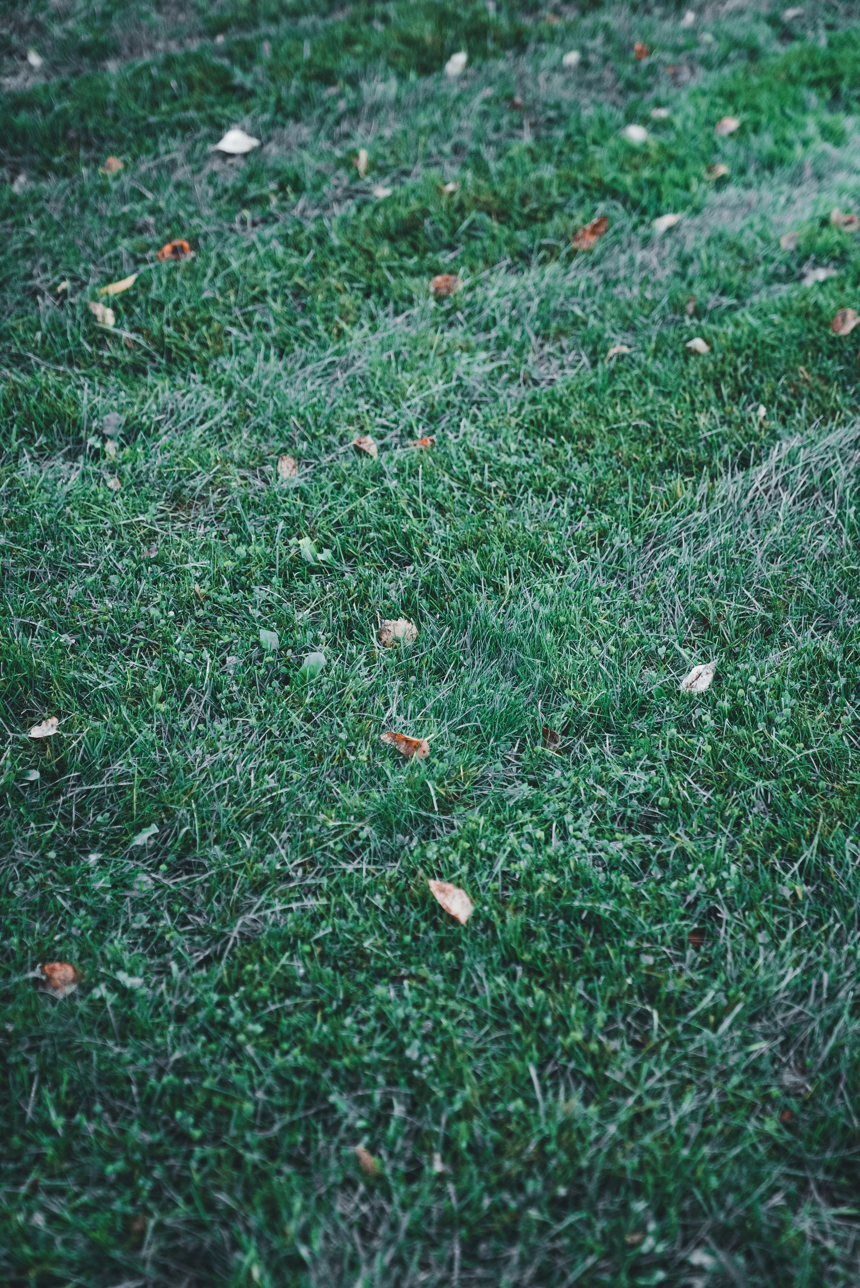 Photo by introspectivedsgn