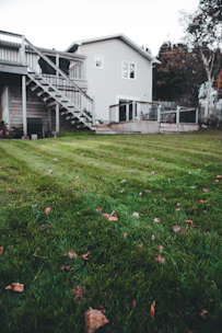 A lawn with a house in the background