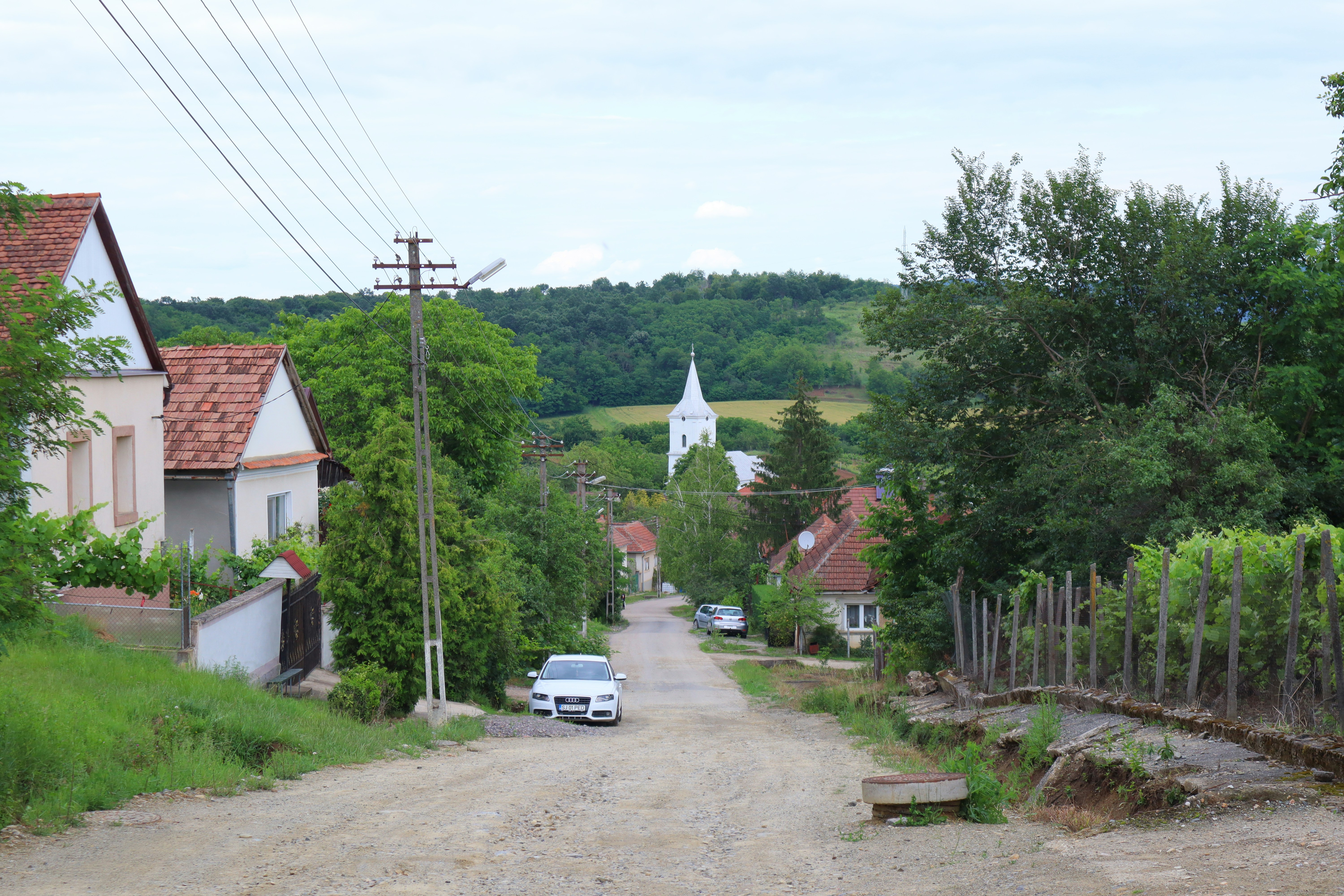 جشنواره برداشت محصول در کوهین
