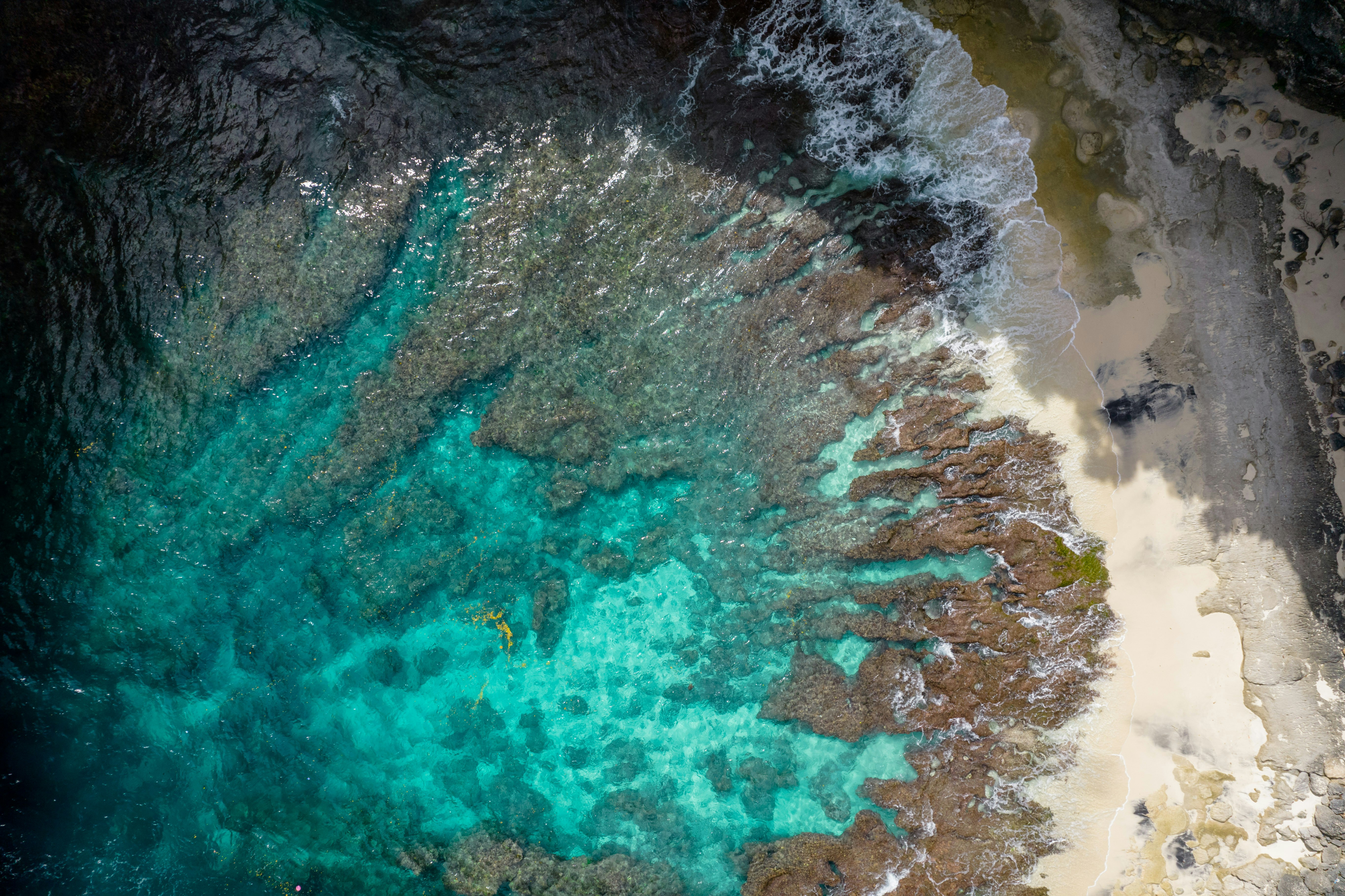 Photo by antonioaaaraujo