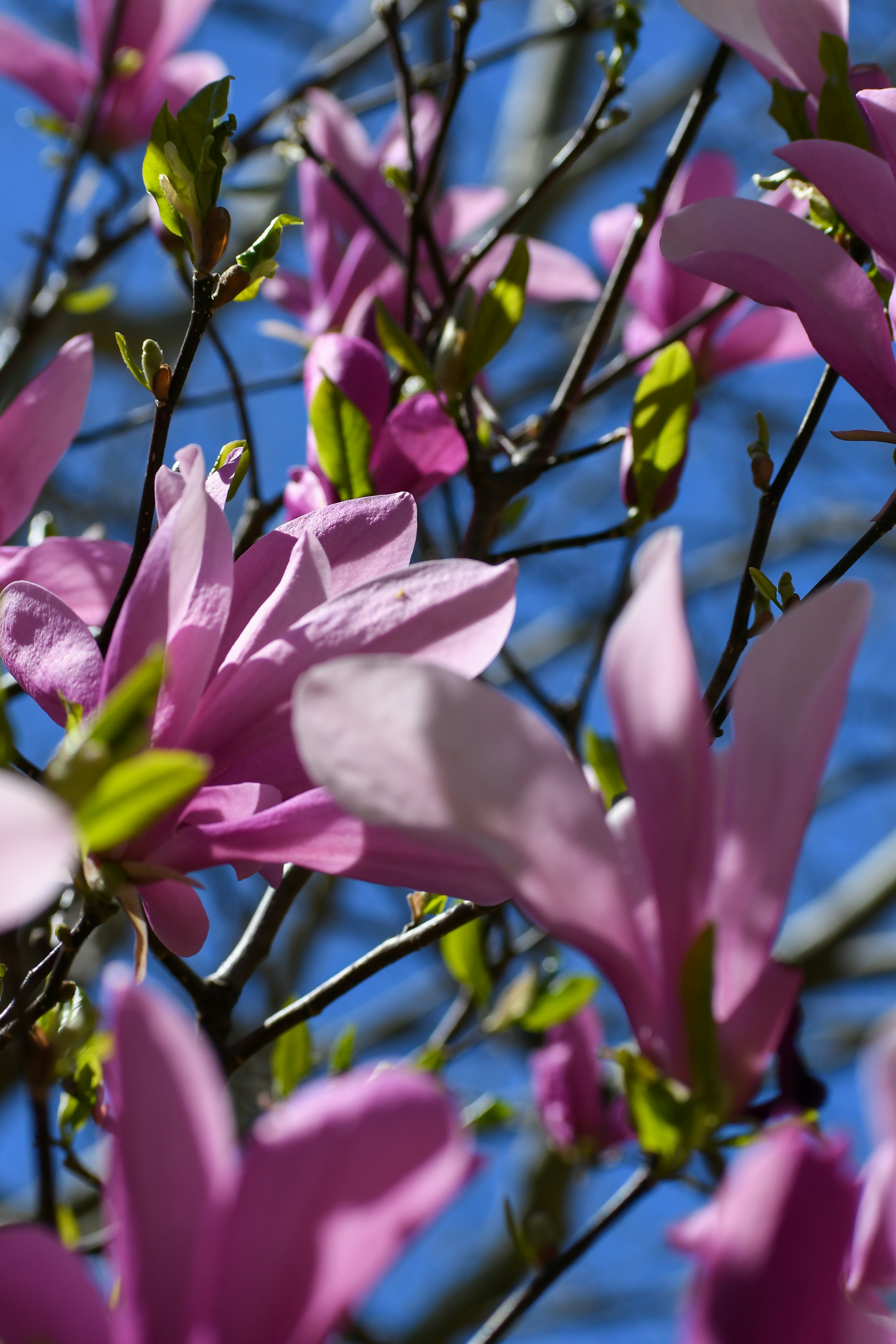 Photo by oliviahouck88