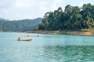 Two people in a canoe paddling down a river